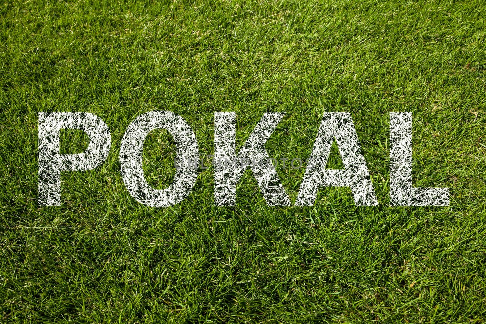 cup (pokal in german) on meadow