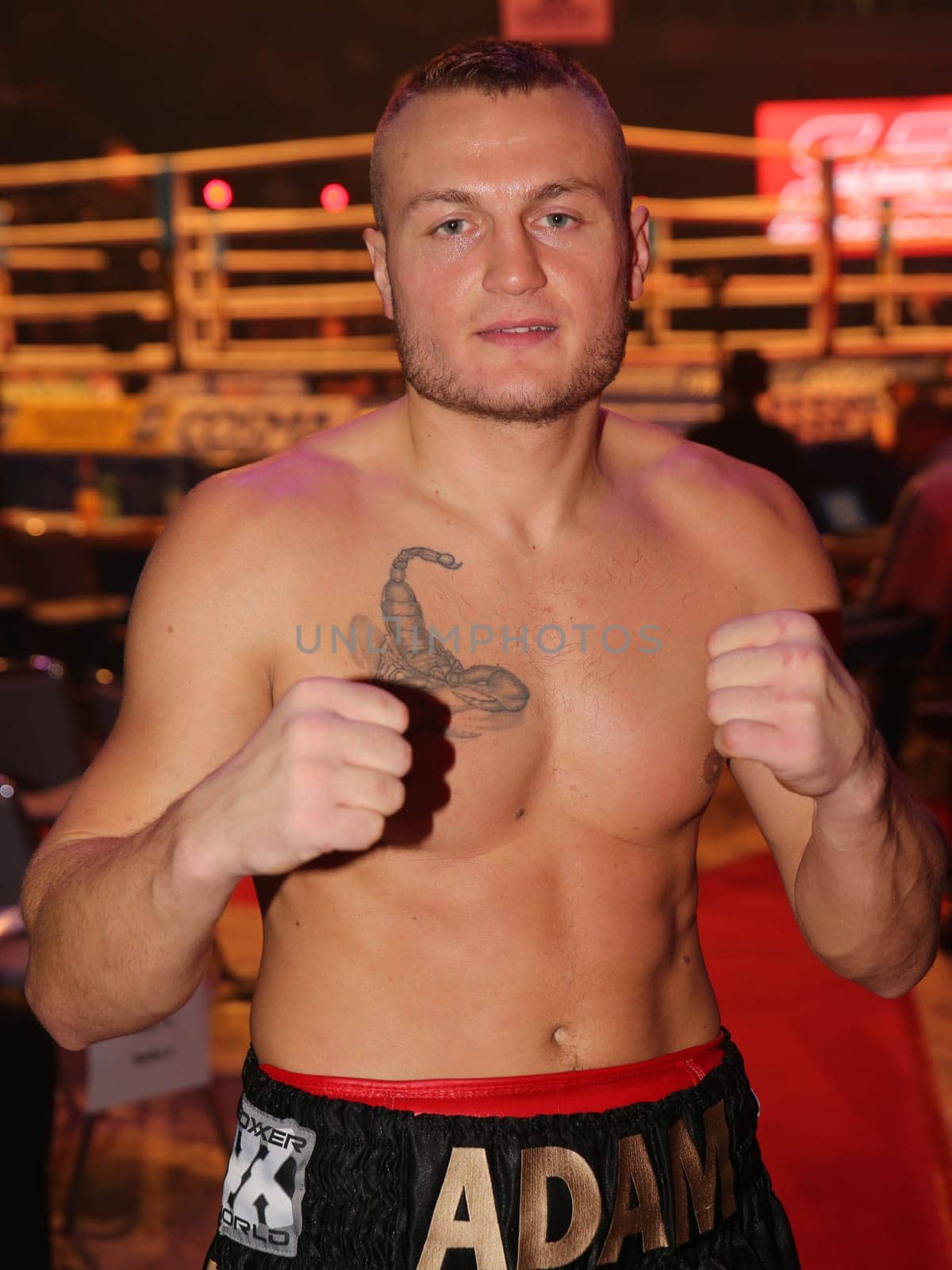 Half-heavyweight boxer Adam Dein (SES Boxing) after his fight at the SES Boxing Gala on 12.11.2016 in the GETEC Arena Magdeburg
