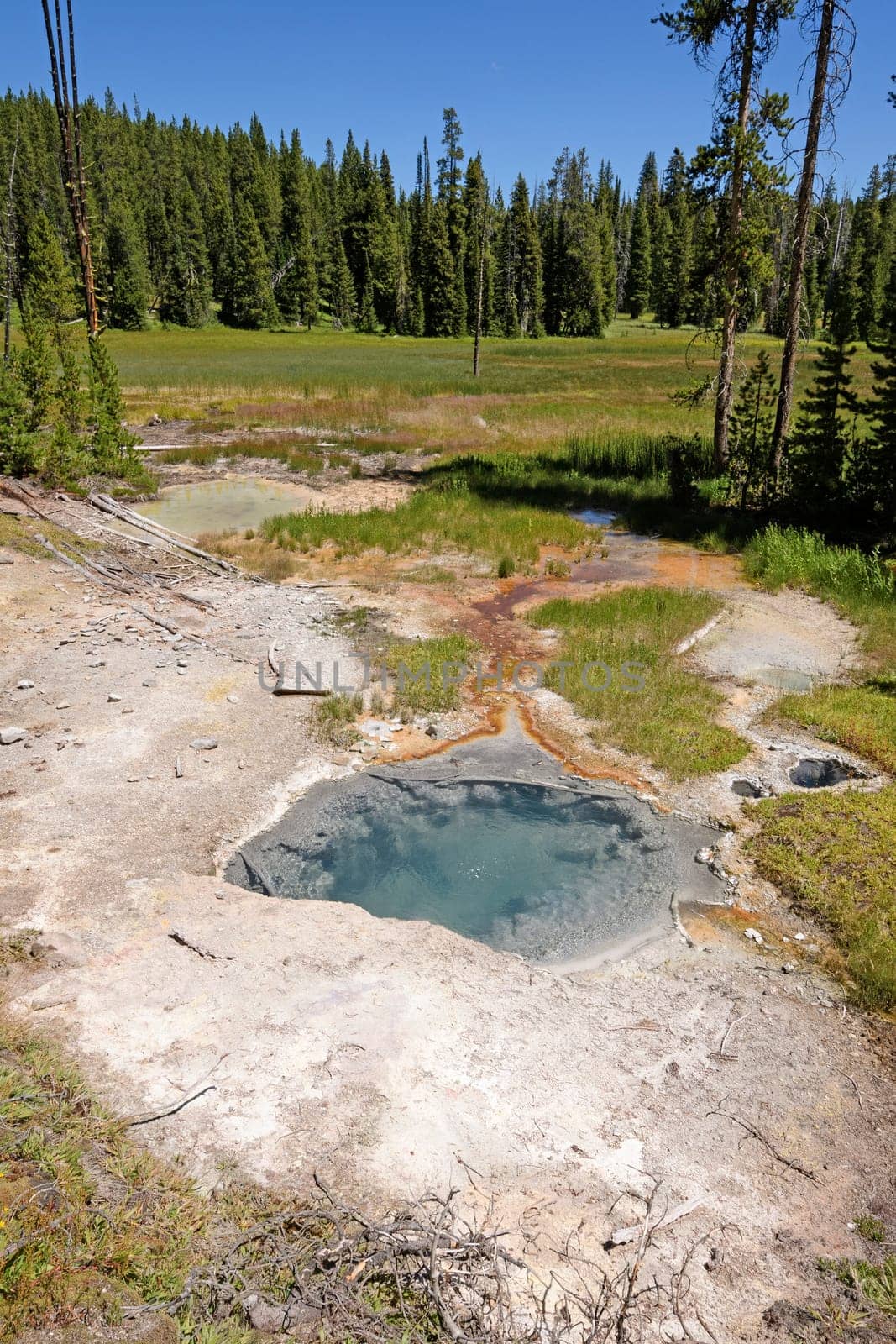 Colorful Thermal Pool in the Wilderness Near the Shoshone Thermal Basin in Yellowstone National Park in Wyoming