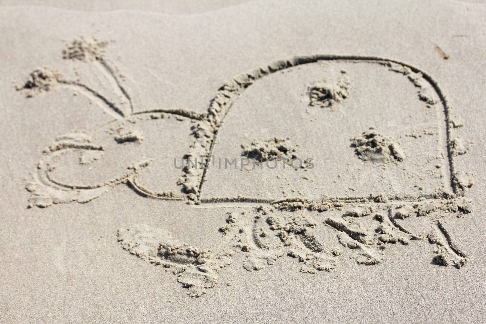 A beetle drawn in the sandy beach.