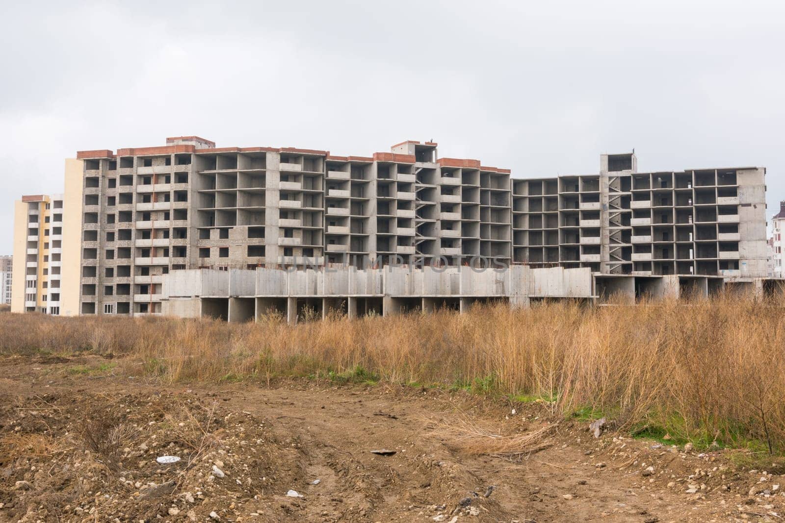 Abandoned construction of multi-storey residential complex, overgrown with weeds