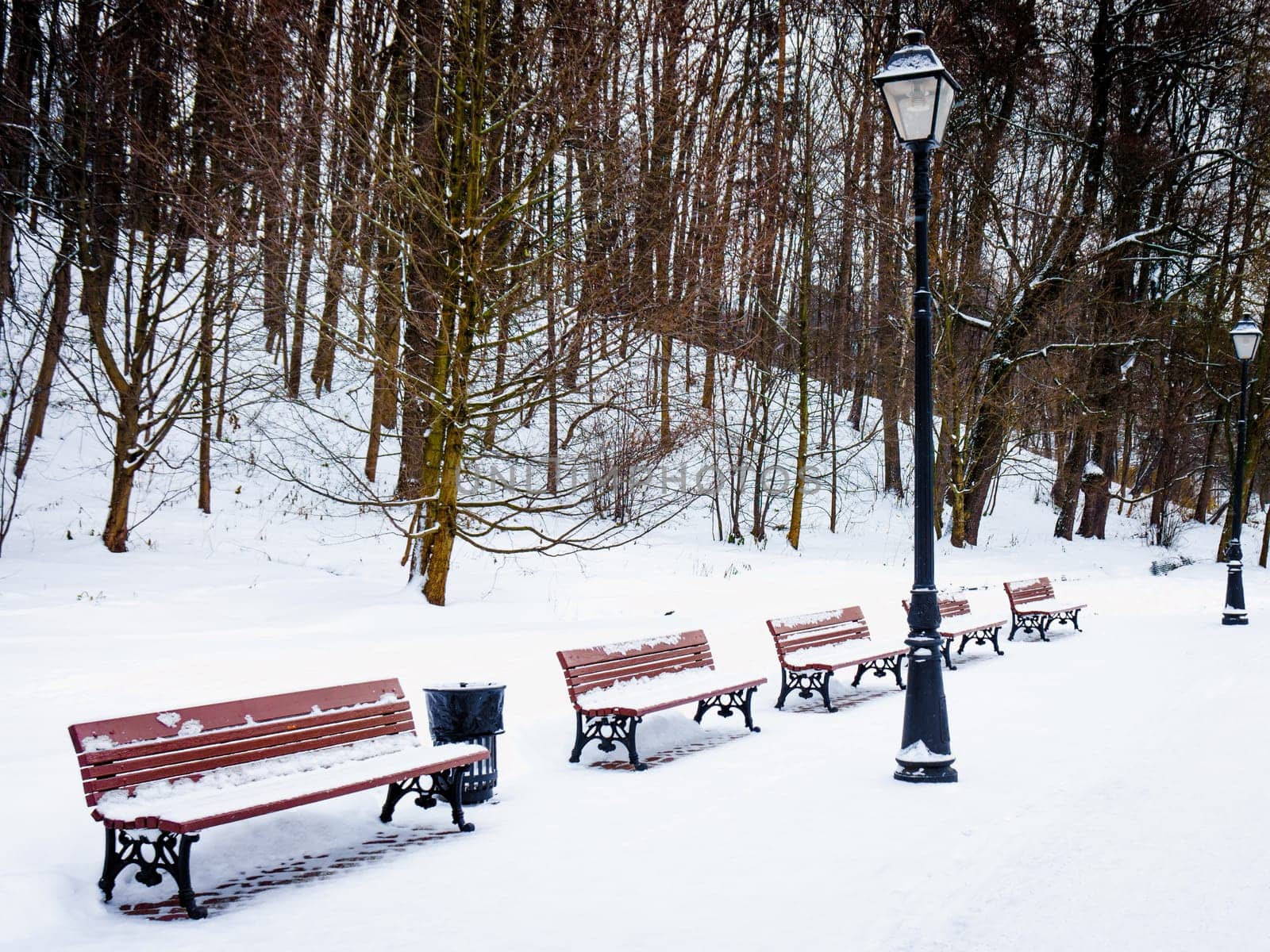 Winter in the park.  Benches in the winter city park