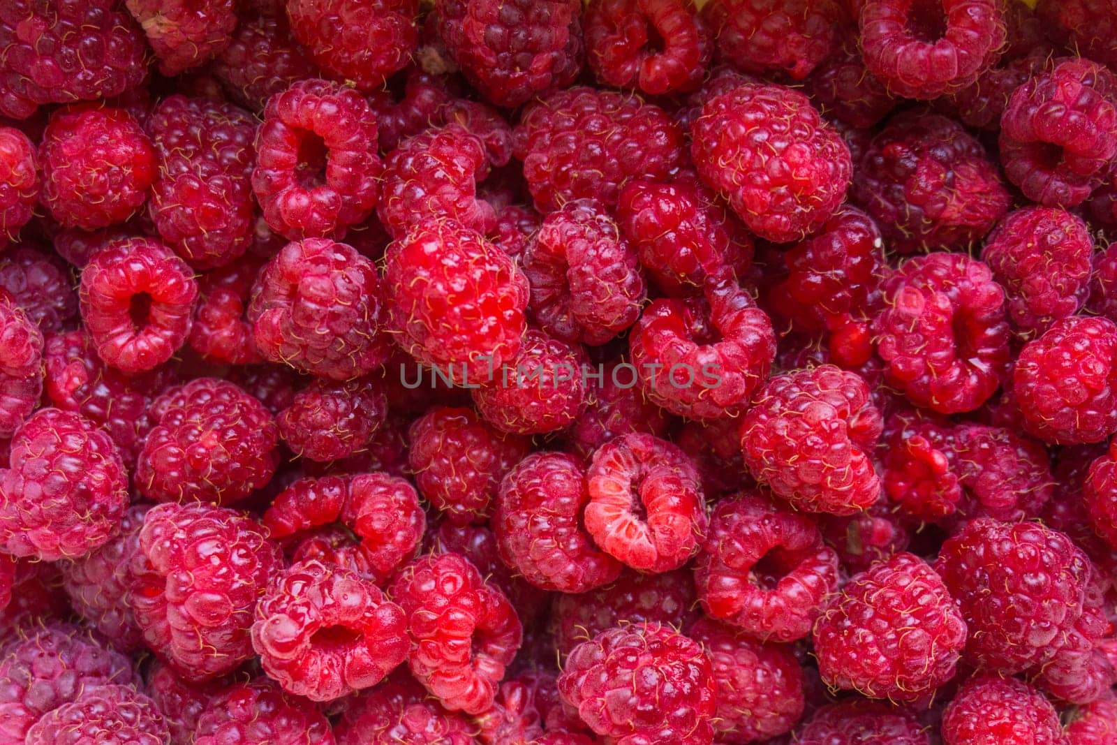 raspberries background
