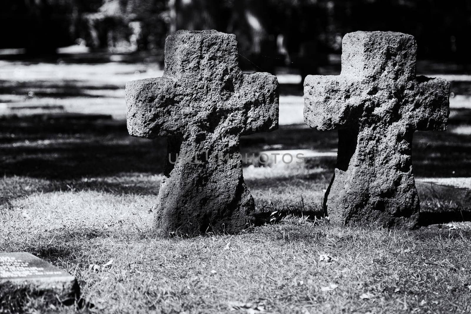 The German Military Cemetery of World War I in Vladslo Belgium