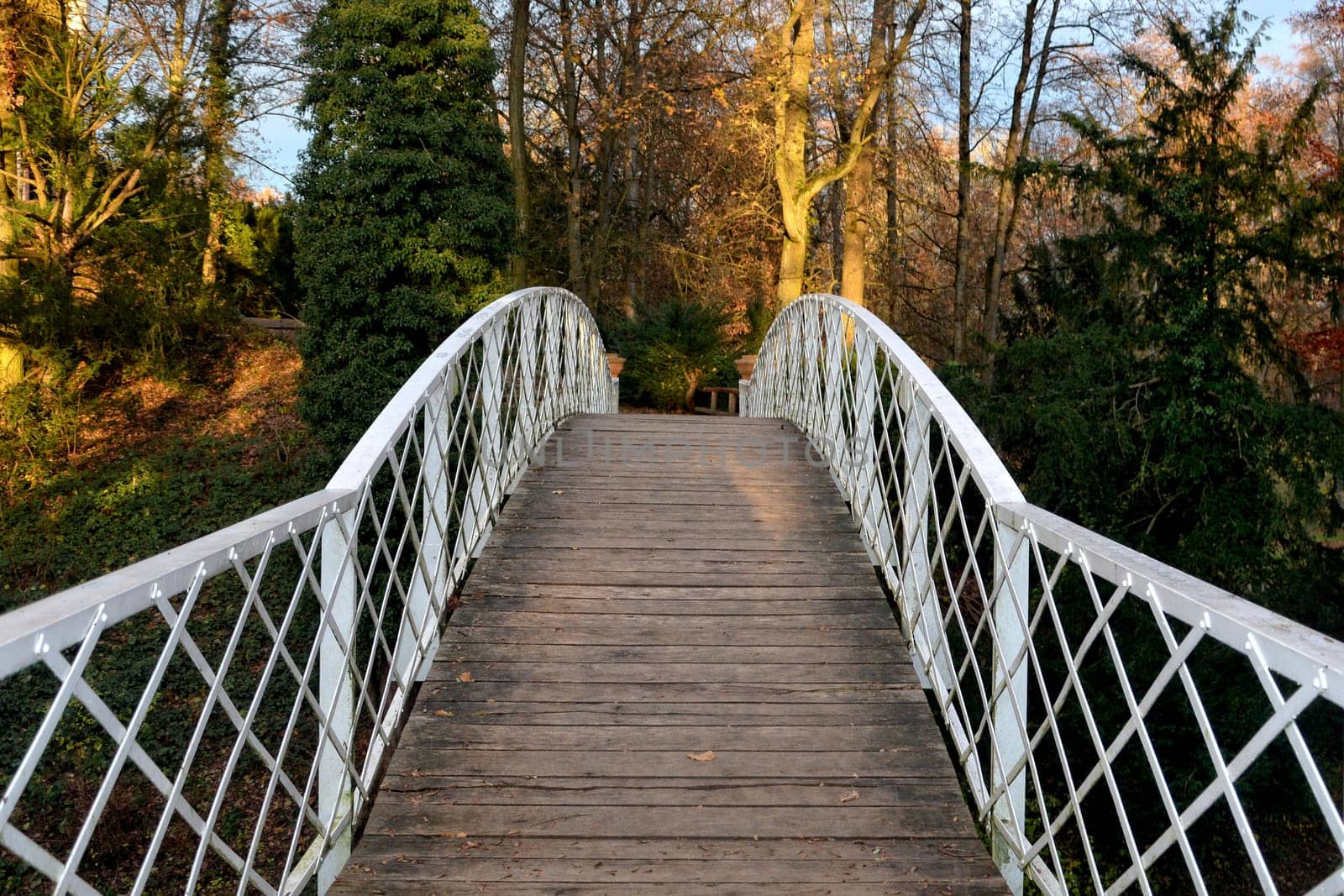 Arched wooden bridge with white metal terrain and autumnal trees in the background