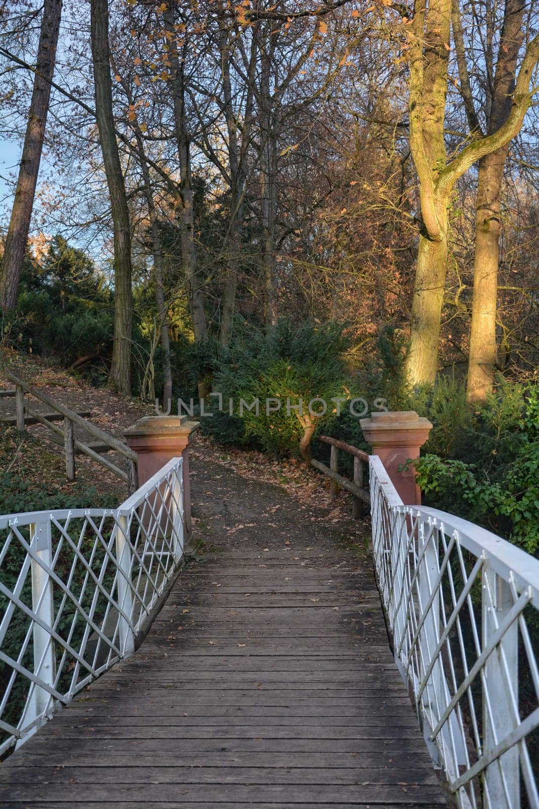 Arch bridge made of wood with white metal terrain and autumn trees in the background,stone columns and a path that leads to the top with wooden fence