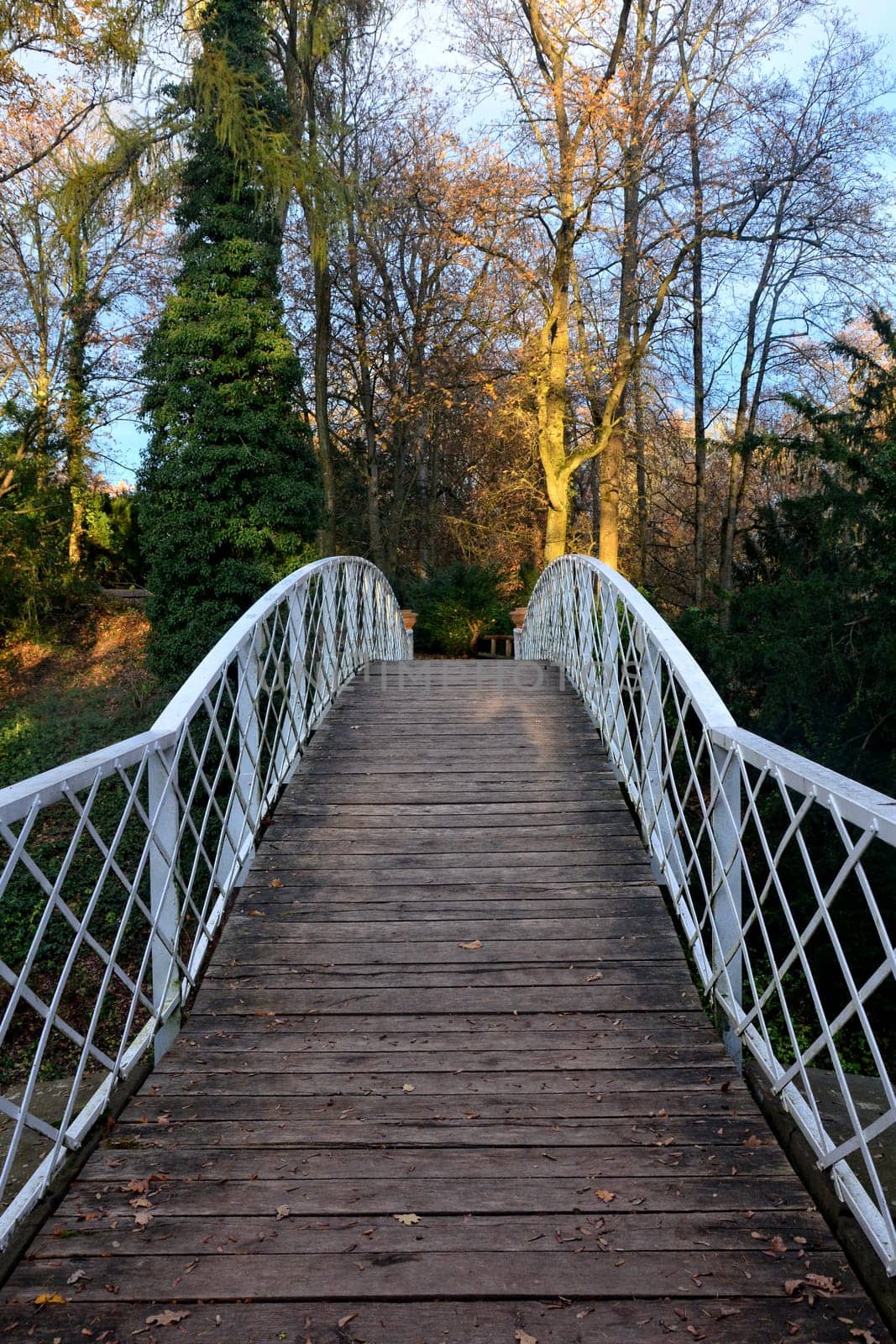 Arched wooden bridge with white metal terrain and autumnal trees in the background