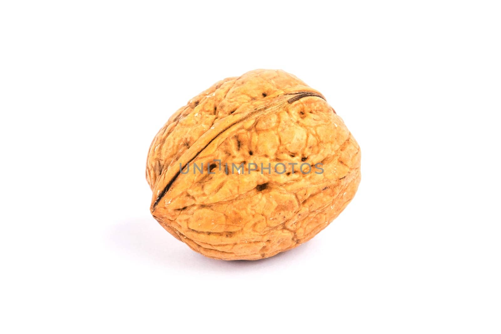 Walnut,close-up of the nut on a white background