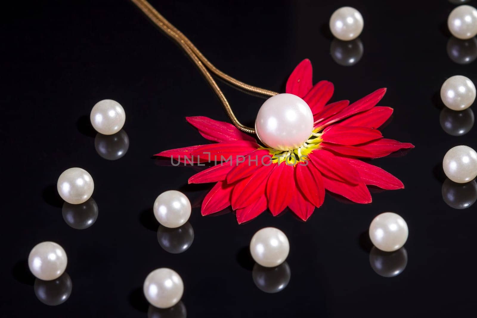 White pearls necklace on black background. Focus on the big pearl over red petals!