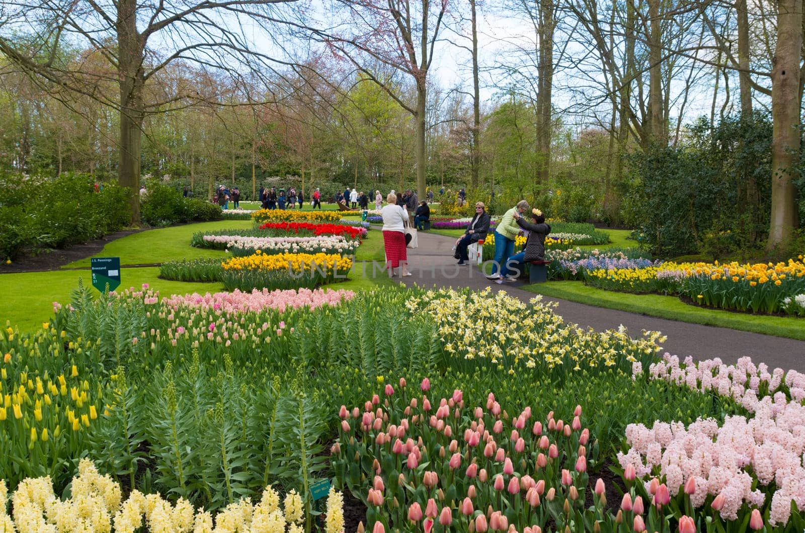 LISSE, NETHERLANDS - APRIL 17, 2016: Unknown tourists enjoying the beautiful blooming tulips in the famous keukenhof gardens