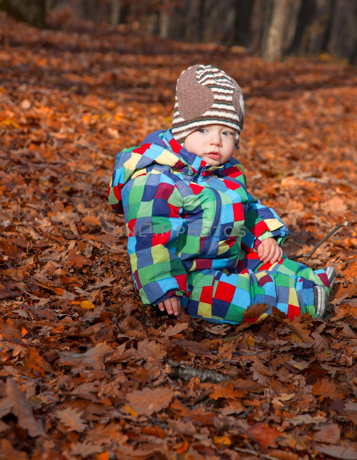 10 months old baby boy sitting on autumn leaves in the forest
