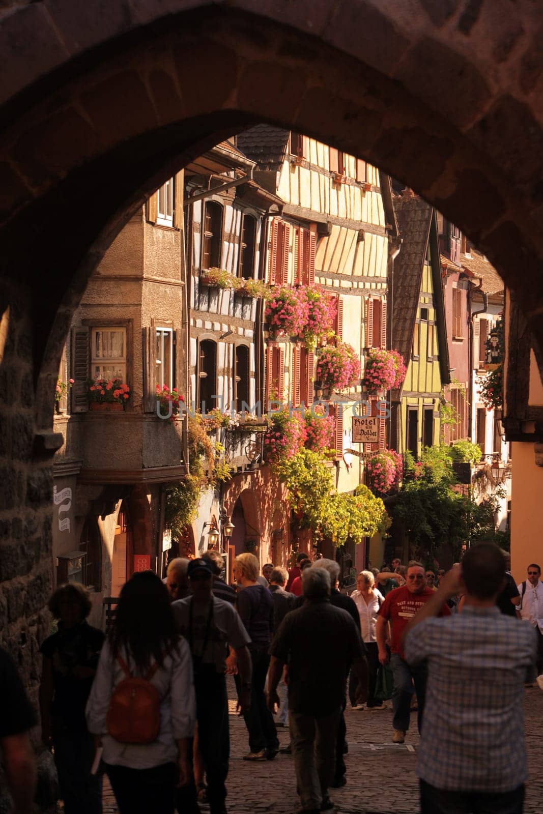 the olt town of the village of Riquewihr in the province of Alsace in France in Europe