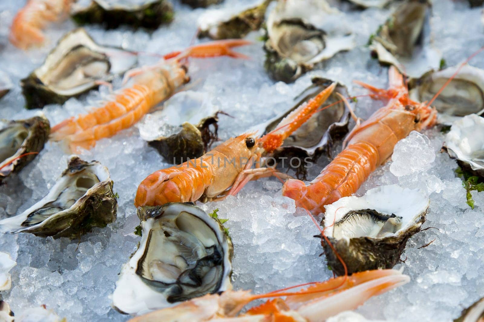 Close up view of a composition of shrimp and oysters on ice