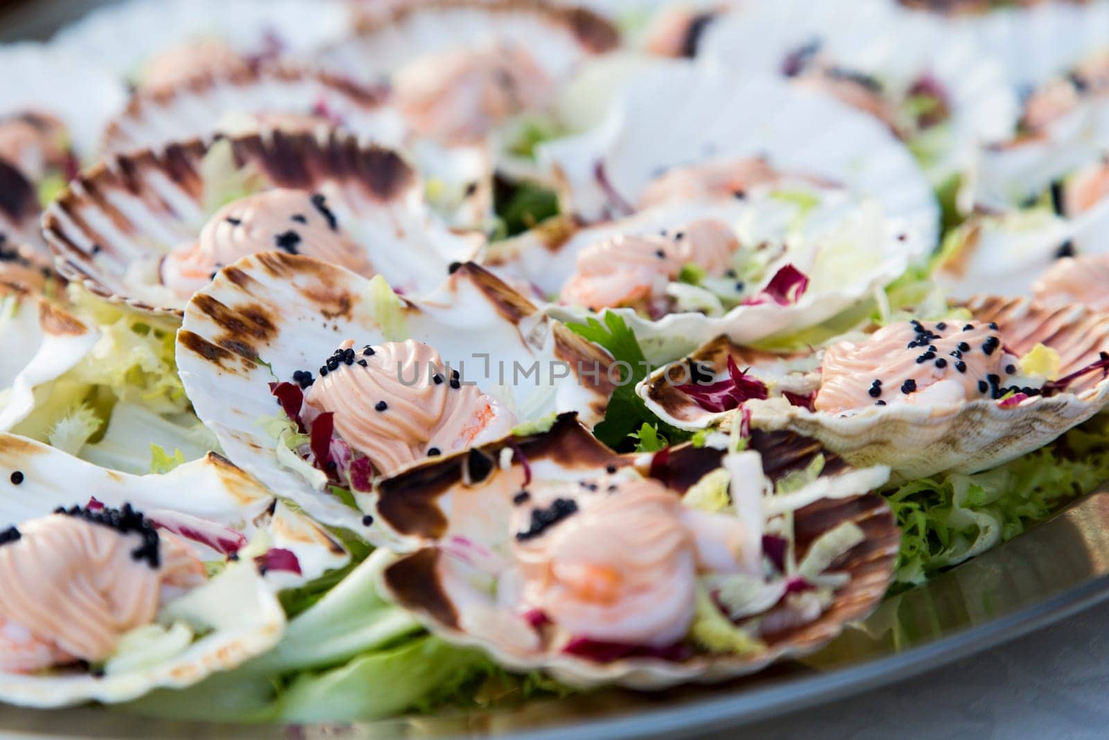 Close up view of oysters mousse inside the shell