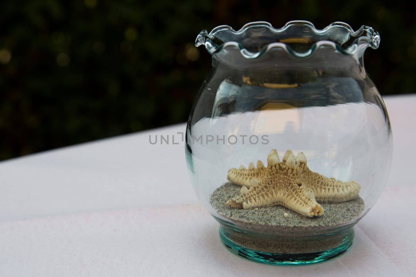 View of a starfish in a glass jar that is used as centreboard
