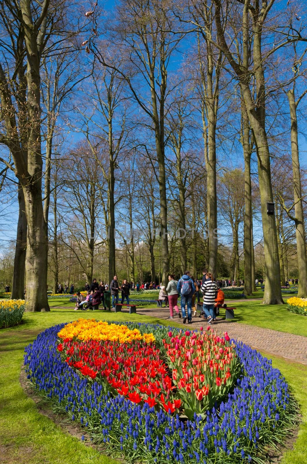 LISSE, NETHERLANDS - APRIL 17, 2016: Unknown tourists visiting the famous keukenhof tulip gardens in the netherlands