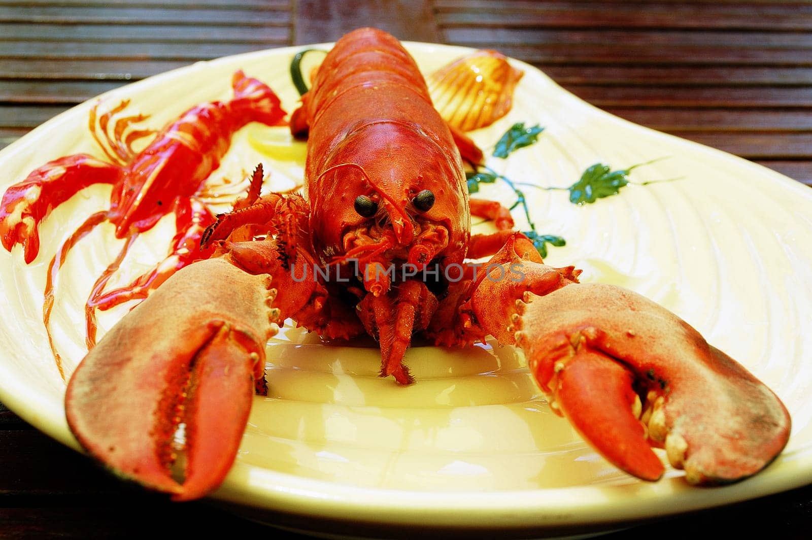 Plate with lobster