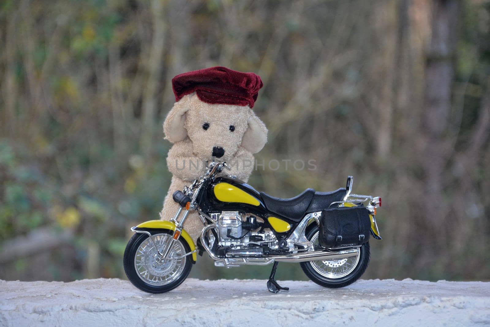 White stuffed animal dog with red cap stands behind a motorcycle outdoors