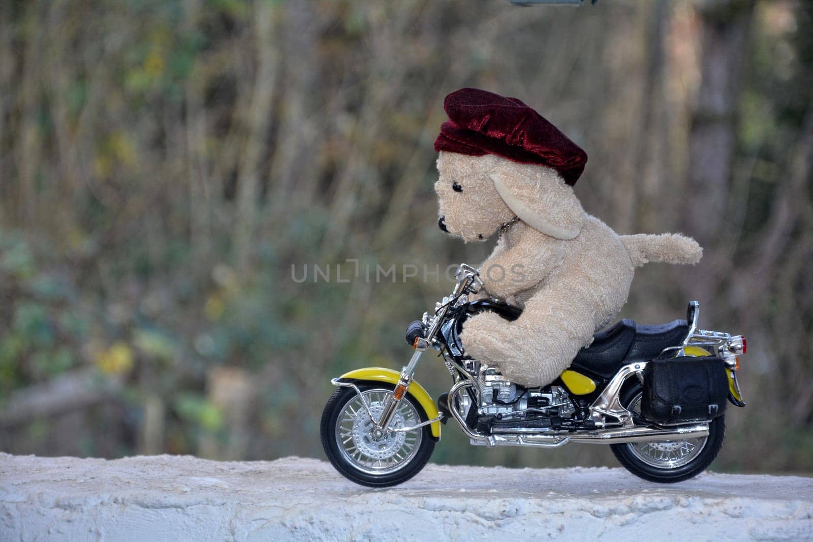 White stuffed animal dog with red cap sits on motorcycle in nature