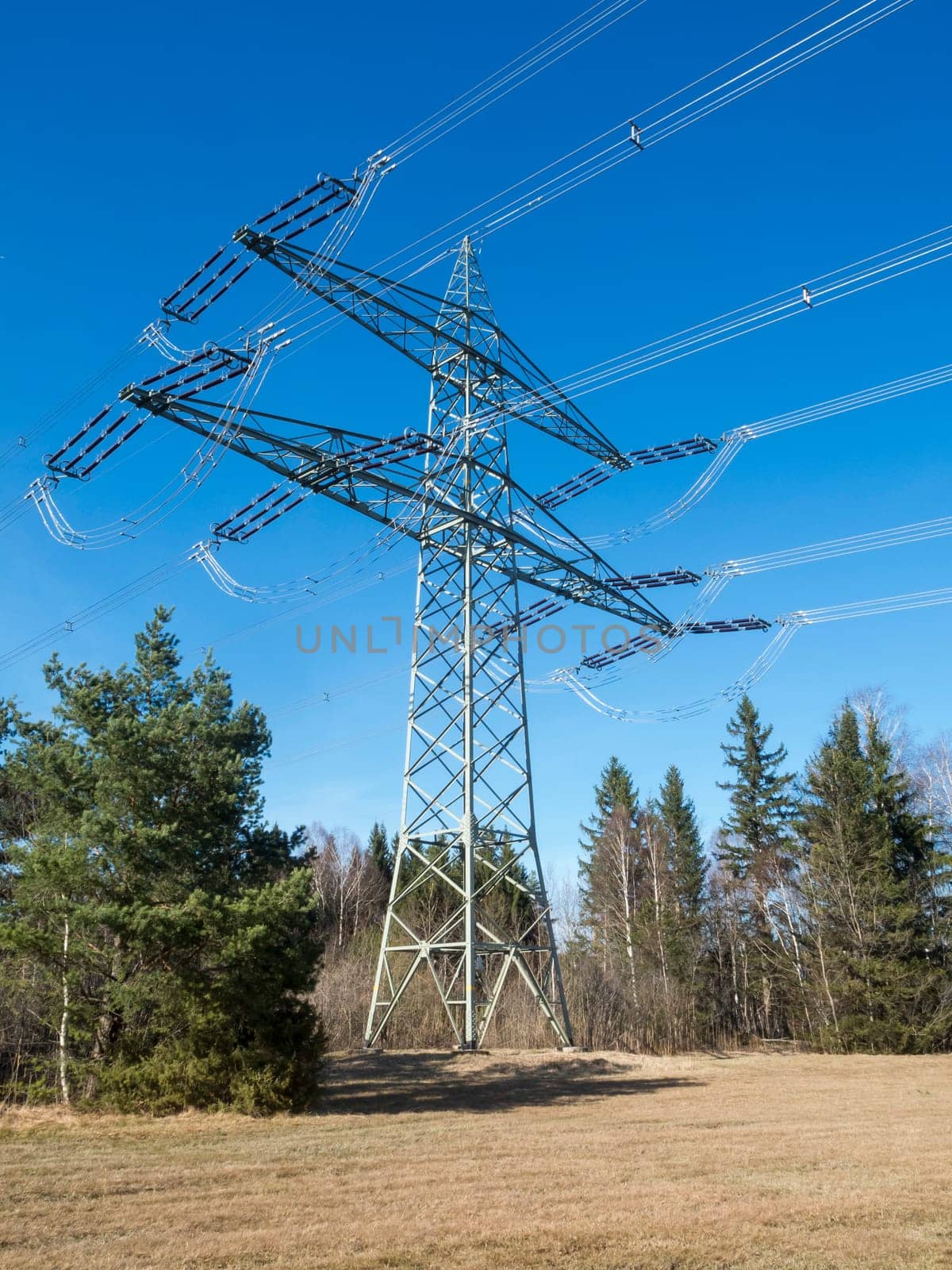 Single high-voltage pylon on a forest clearing in Ostallgäu / Bavaria in front of a blue sky and coniferous forest in the background