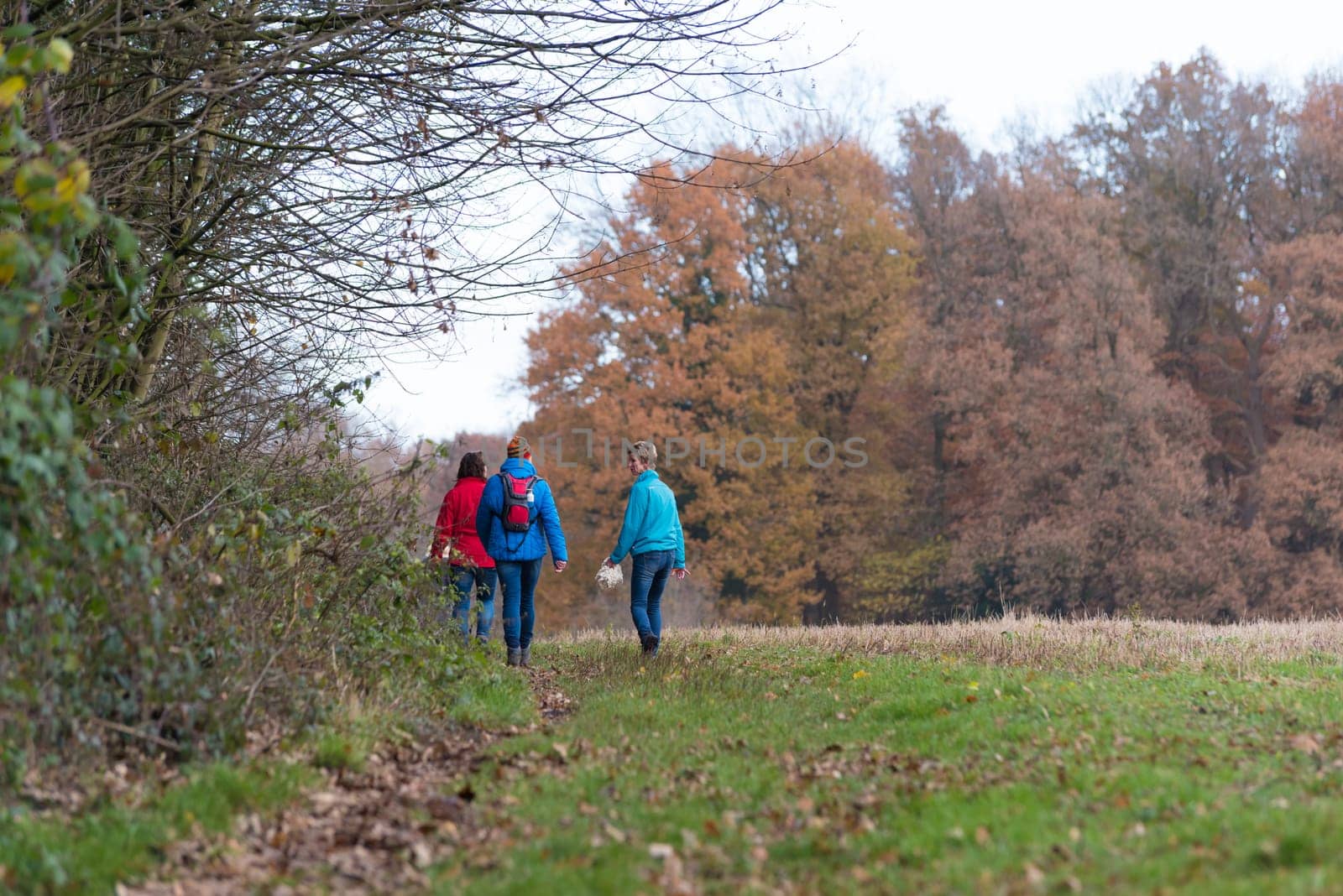 OLDENZAAL, NETHERLANDS - NOVEMBER 27, 2016: Three unknown female hikers enjoying their walk in an autumn landscape in the netherlands