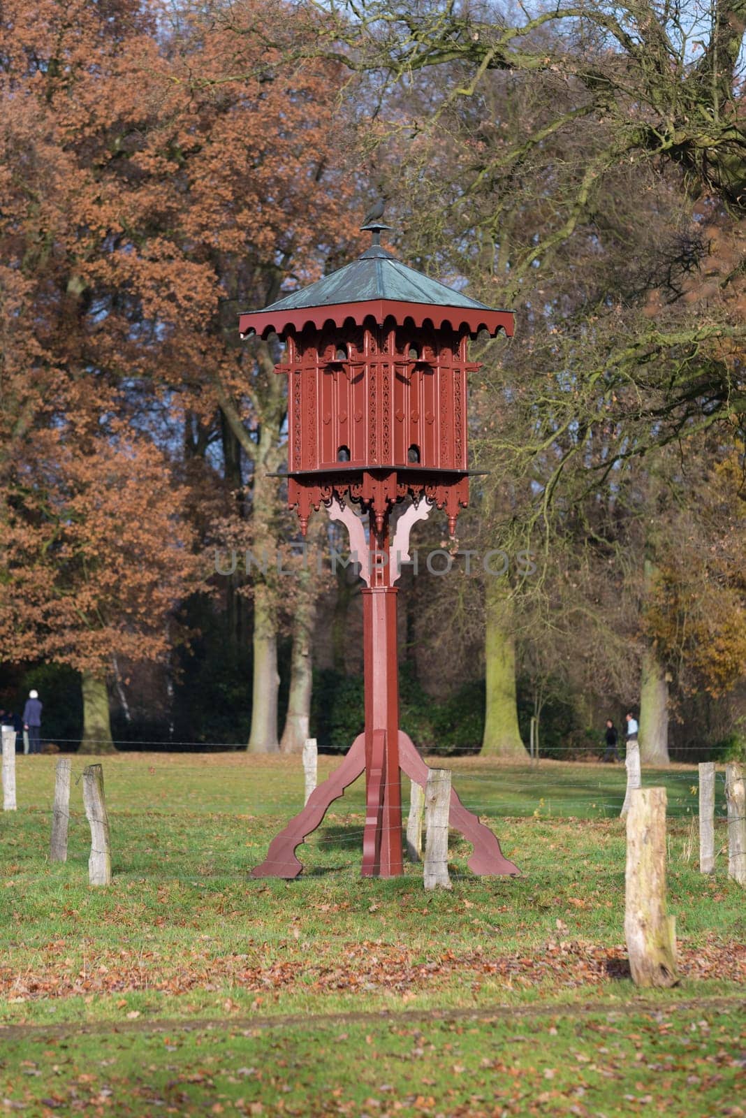 luxury dove nesting box in a park