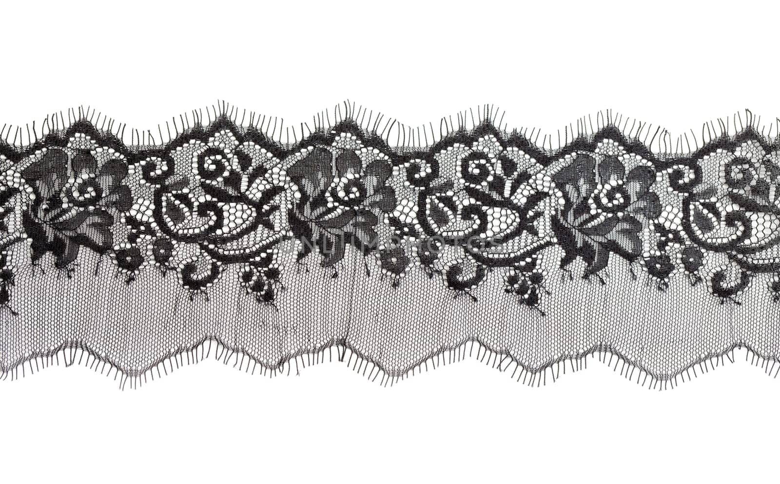 Black fine lace floral texture. Isolate on white.