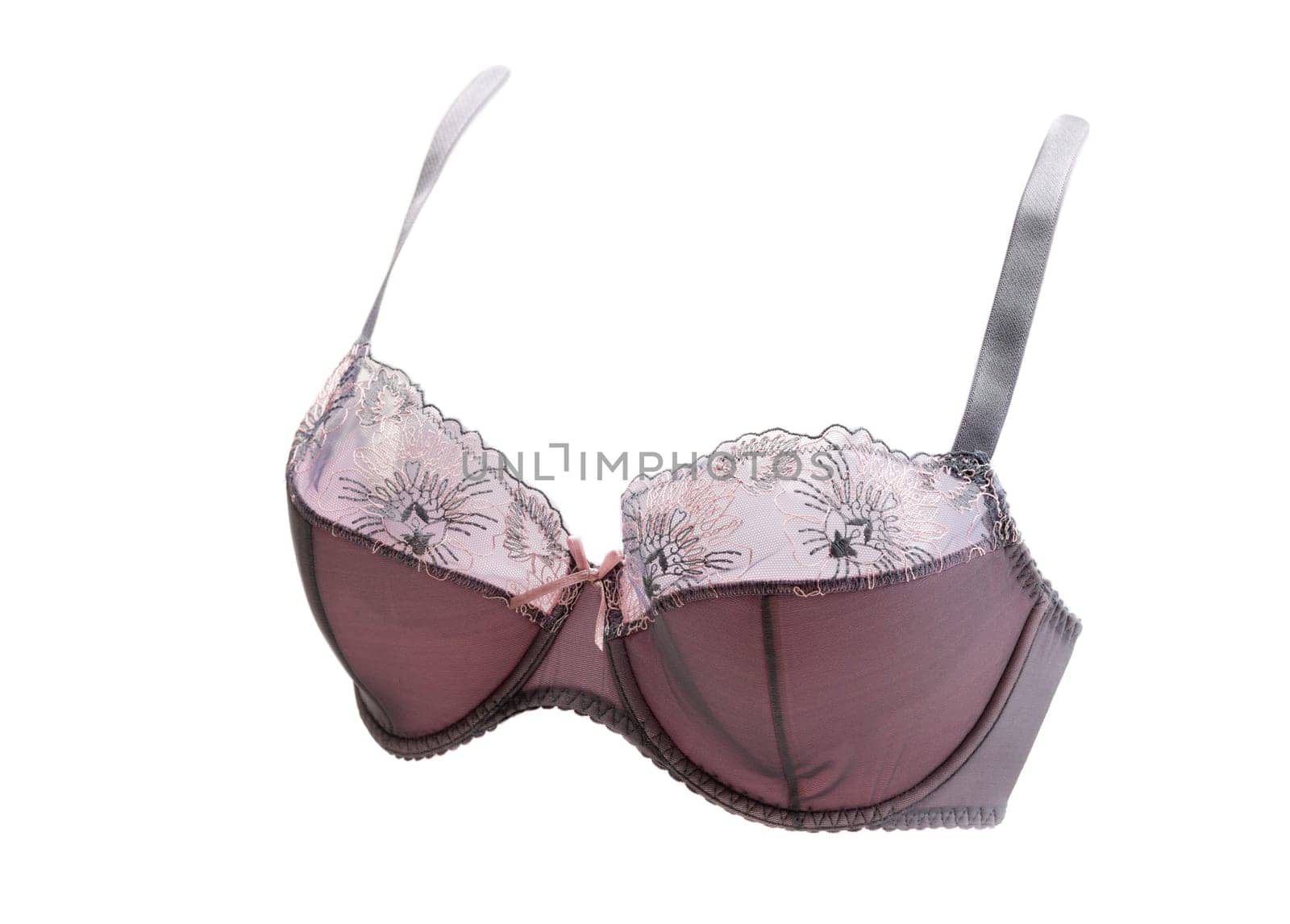 Crimson lace bra in volume. Isolate on white.