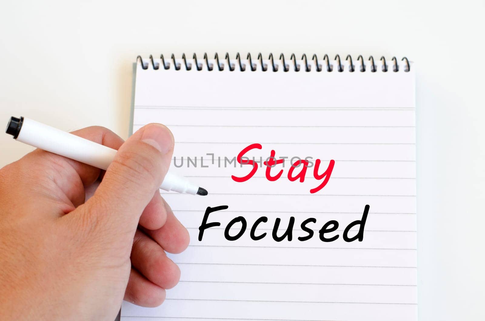 Stay focused text concept write on notebook