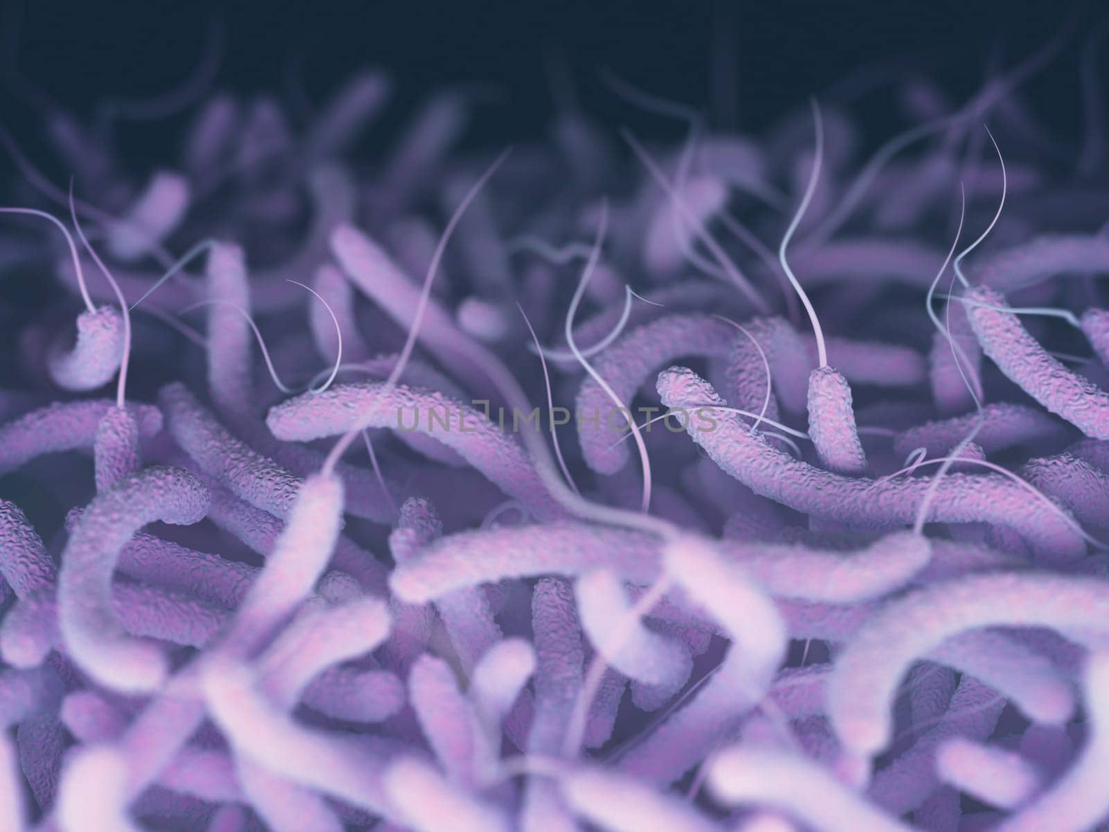 Vibrio cholerae, Gram-negative bacteria. 3D illustration of bacteria with flagella.
