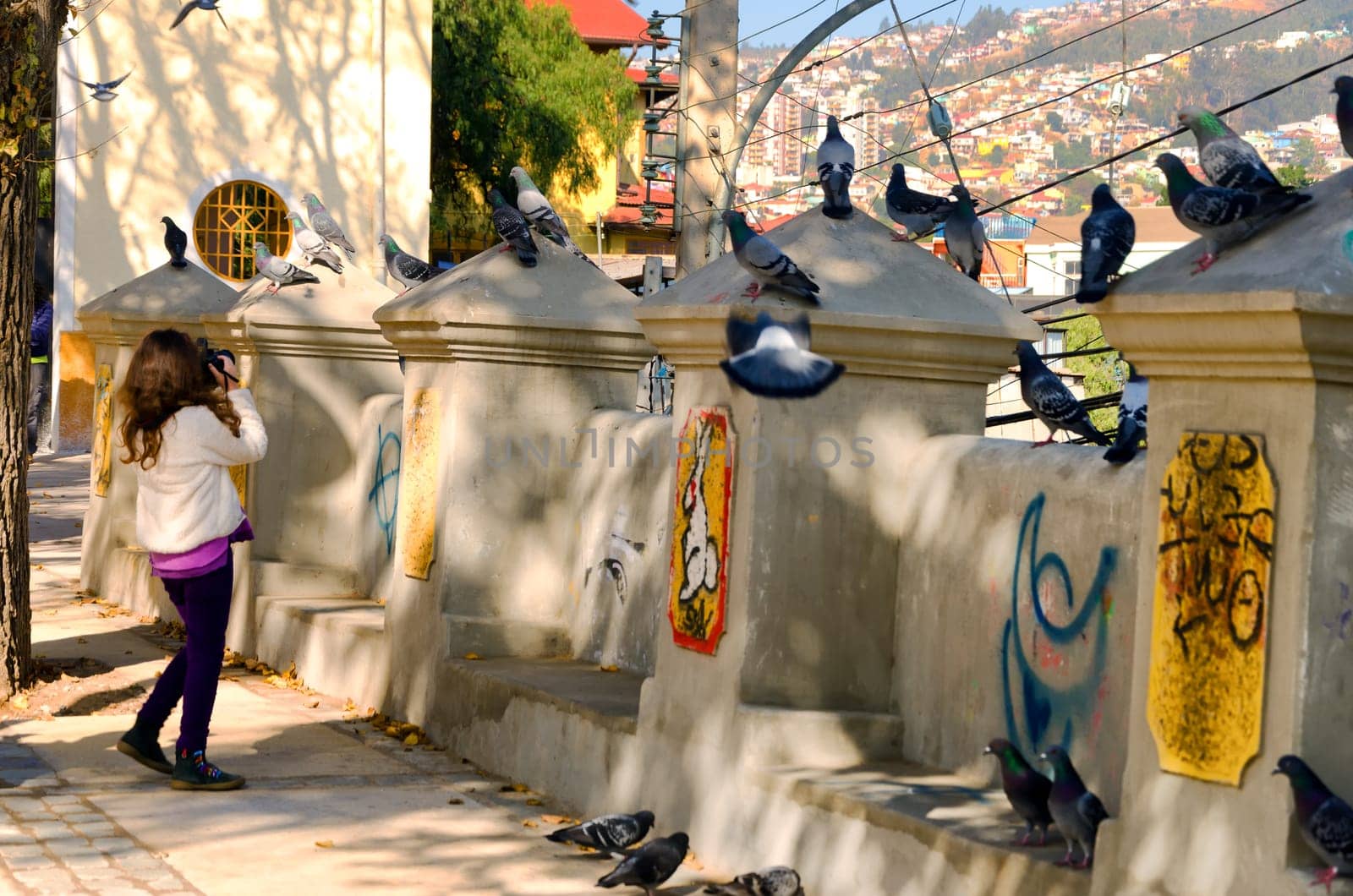 VALPARAISO, CHILE - MAY 31: Young woman takes pictures of pigeons in Valparaiso, Chile on May 31, 2014