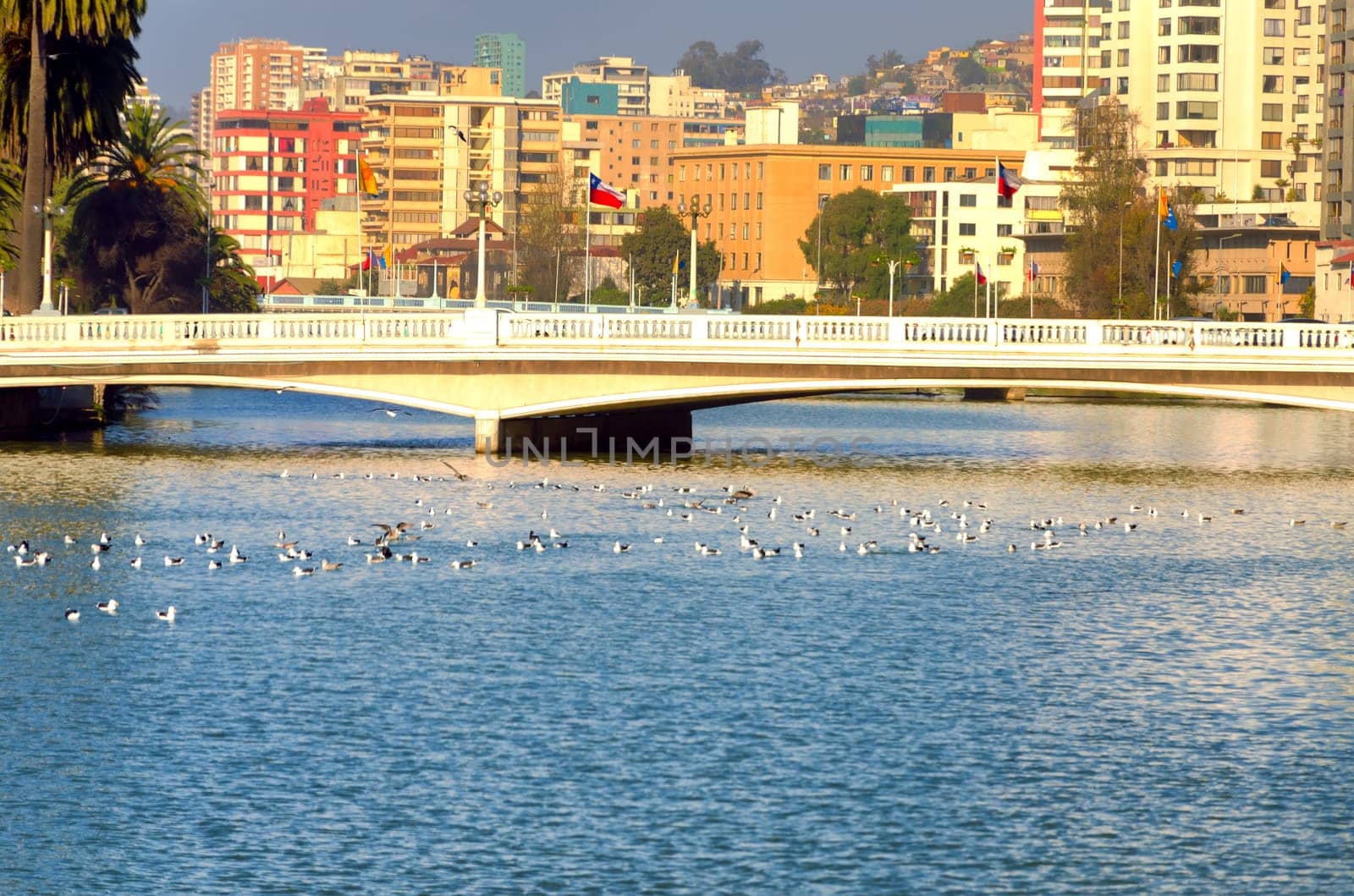 Modern buildings provide a colorful backdrop for a low bridge in Vina del Mar, Chile