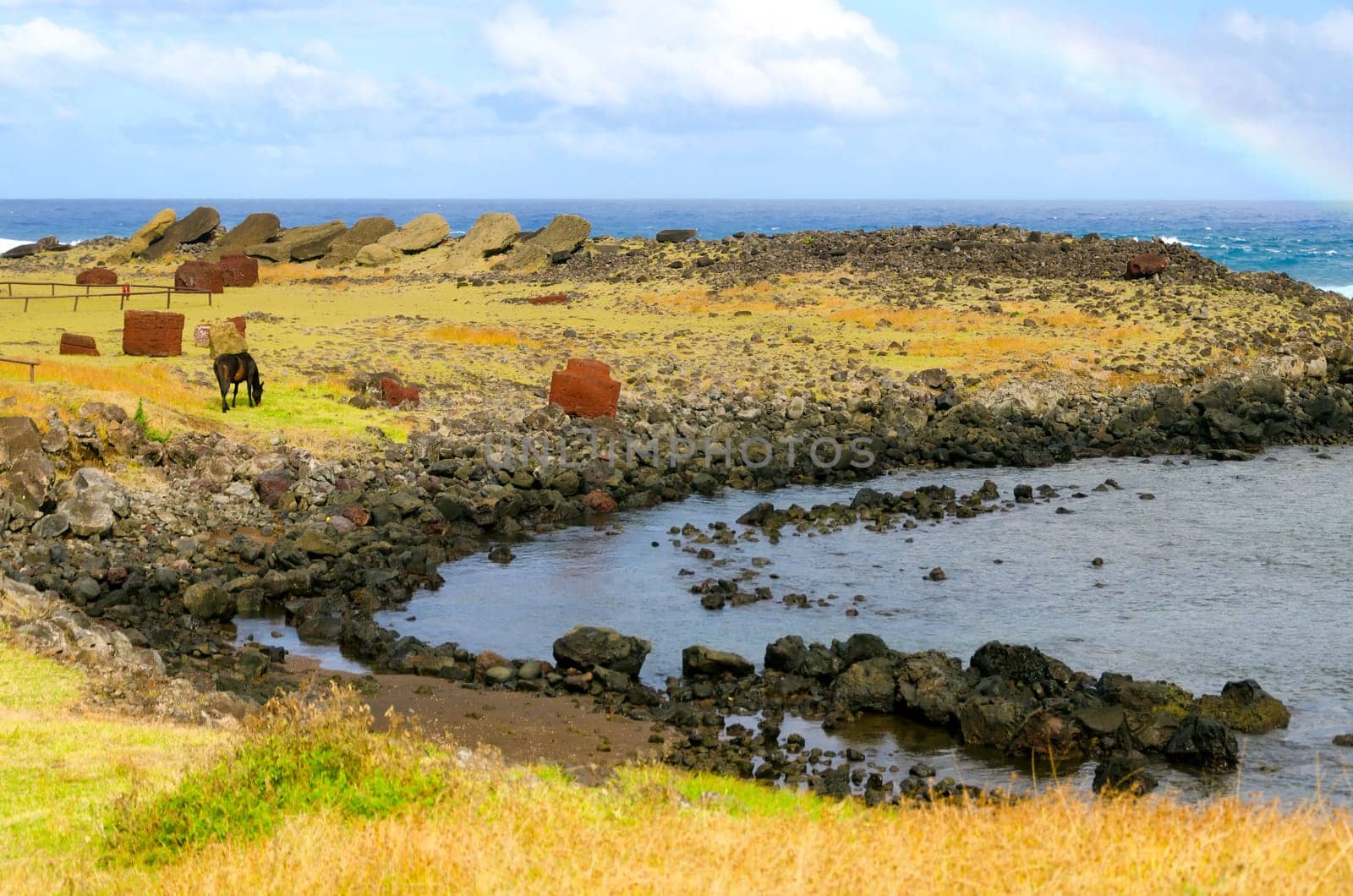Solitary horse grazing on the rocky shore of Chile's Easter Island in the southeastern Pacific Ocean