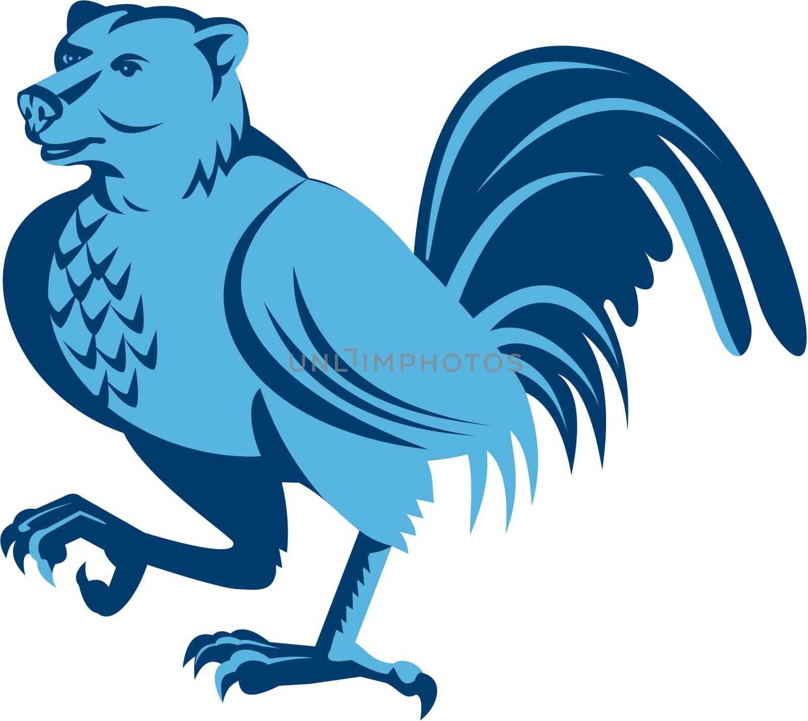 Illustration of a half bear half chicken hybrid marching looking to the side set on isolated white background done in retro style.