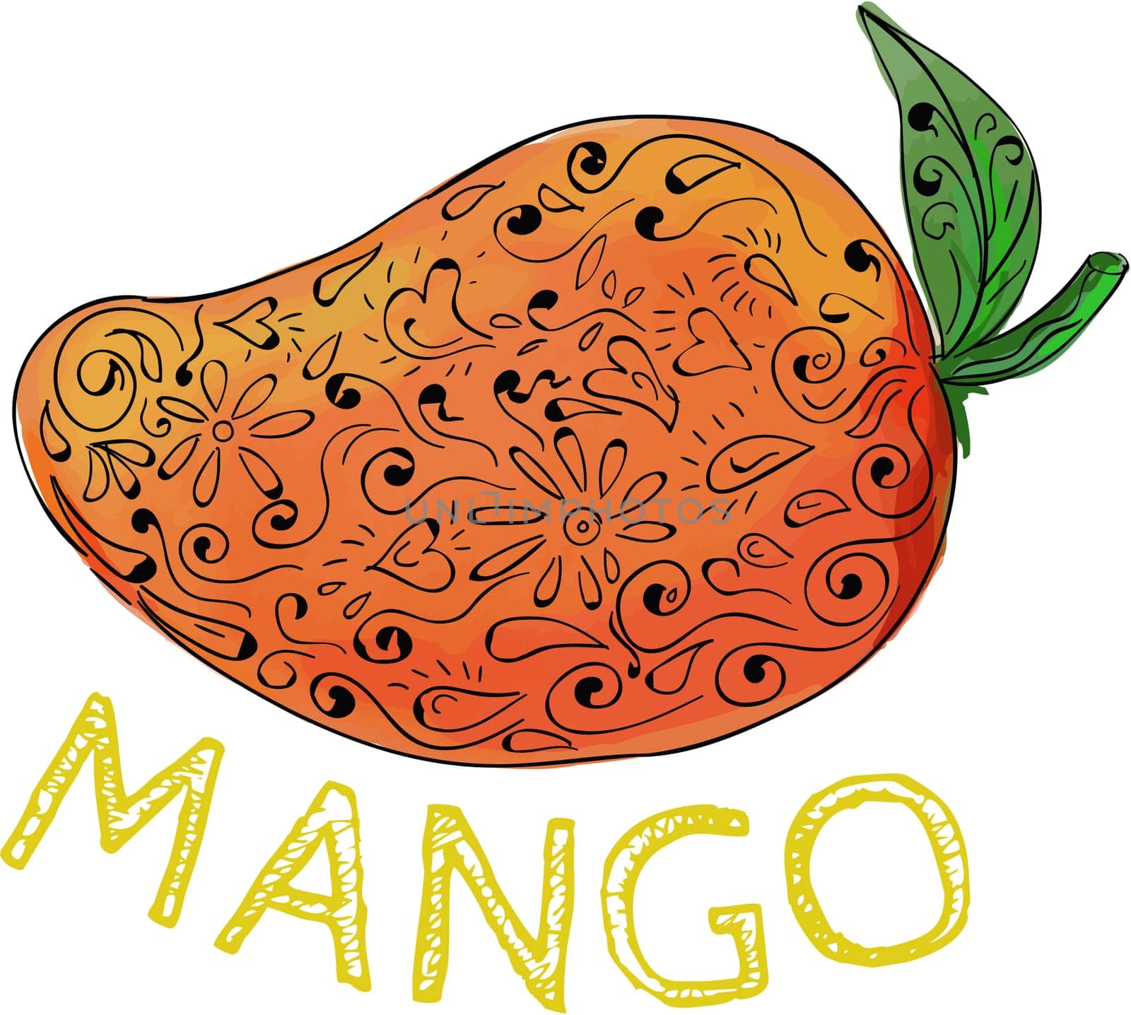 Mandala style illustration of  a mango, a juicy tropical stone fruit drupe belonging to the genus Mangifera set on isolated white background with the word text Mango.