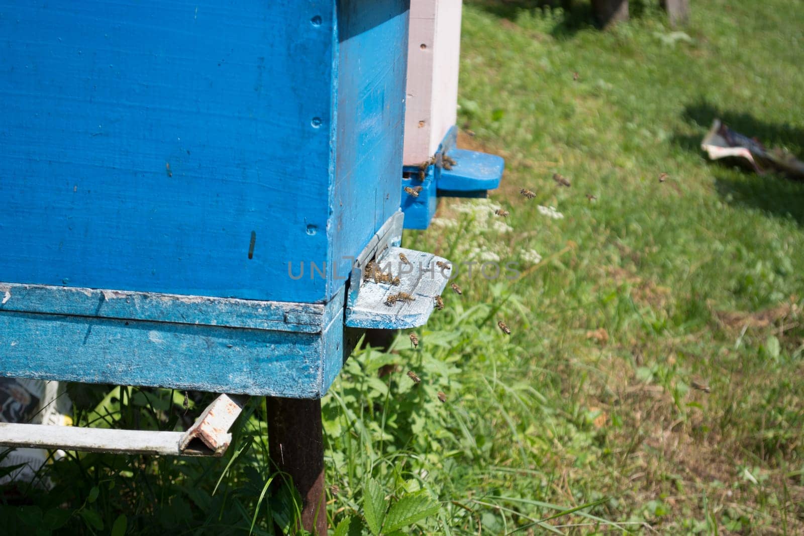 Closeup of honeycomb door swarming with bees