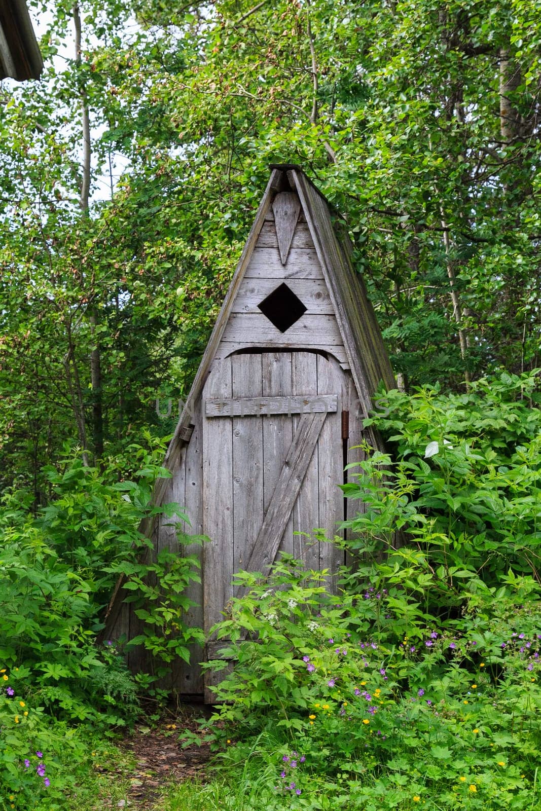 Wooden toilet in the forest,Solovetsky archipelago north of Russia