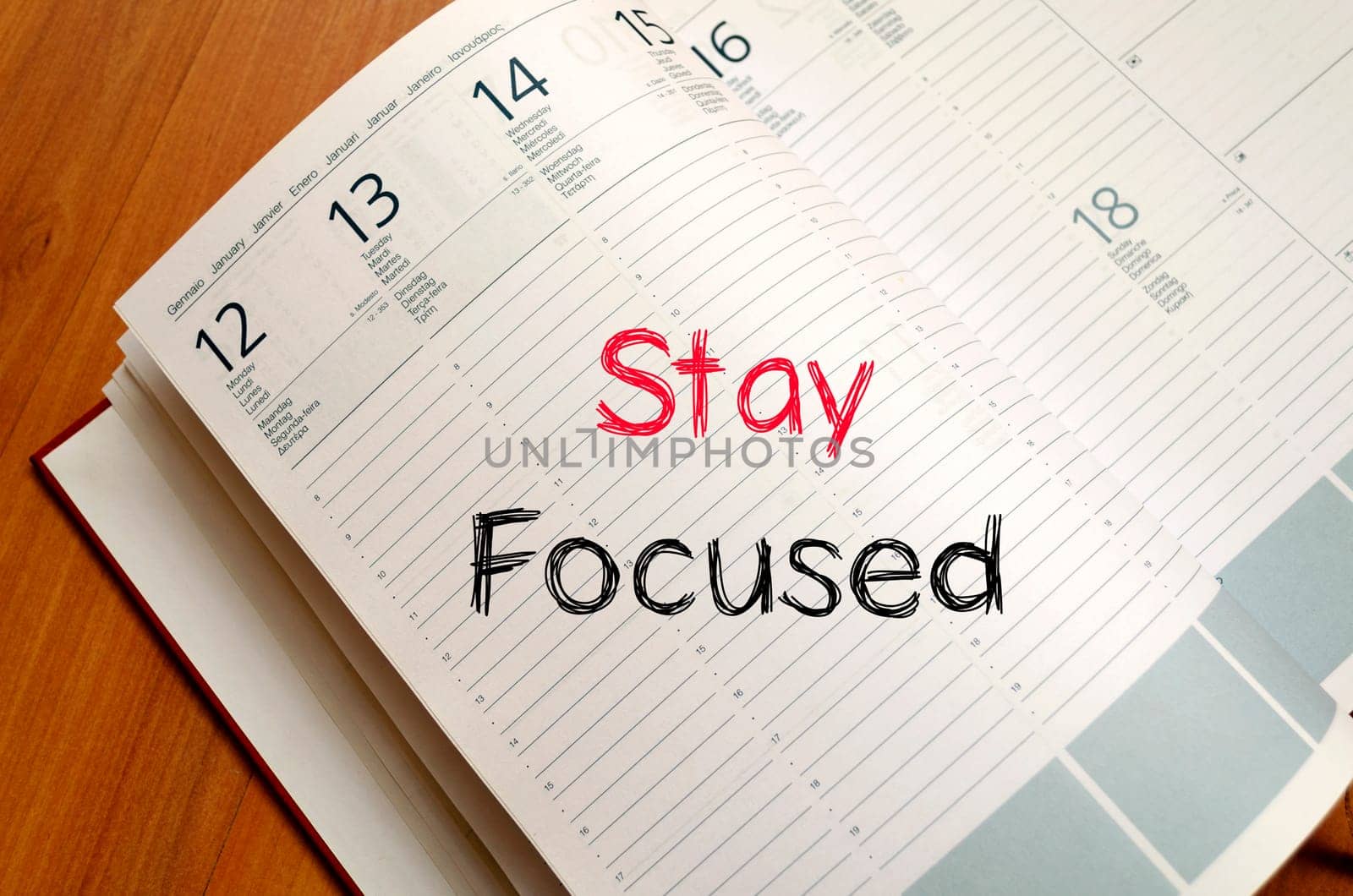 Stay focused text concept write on notebook