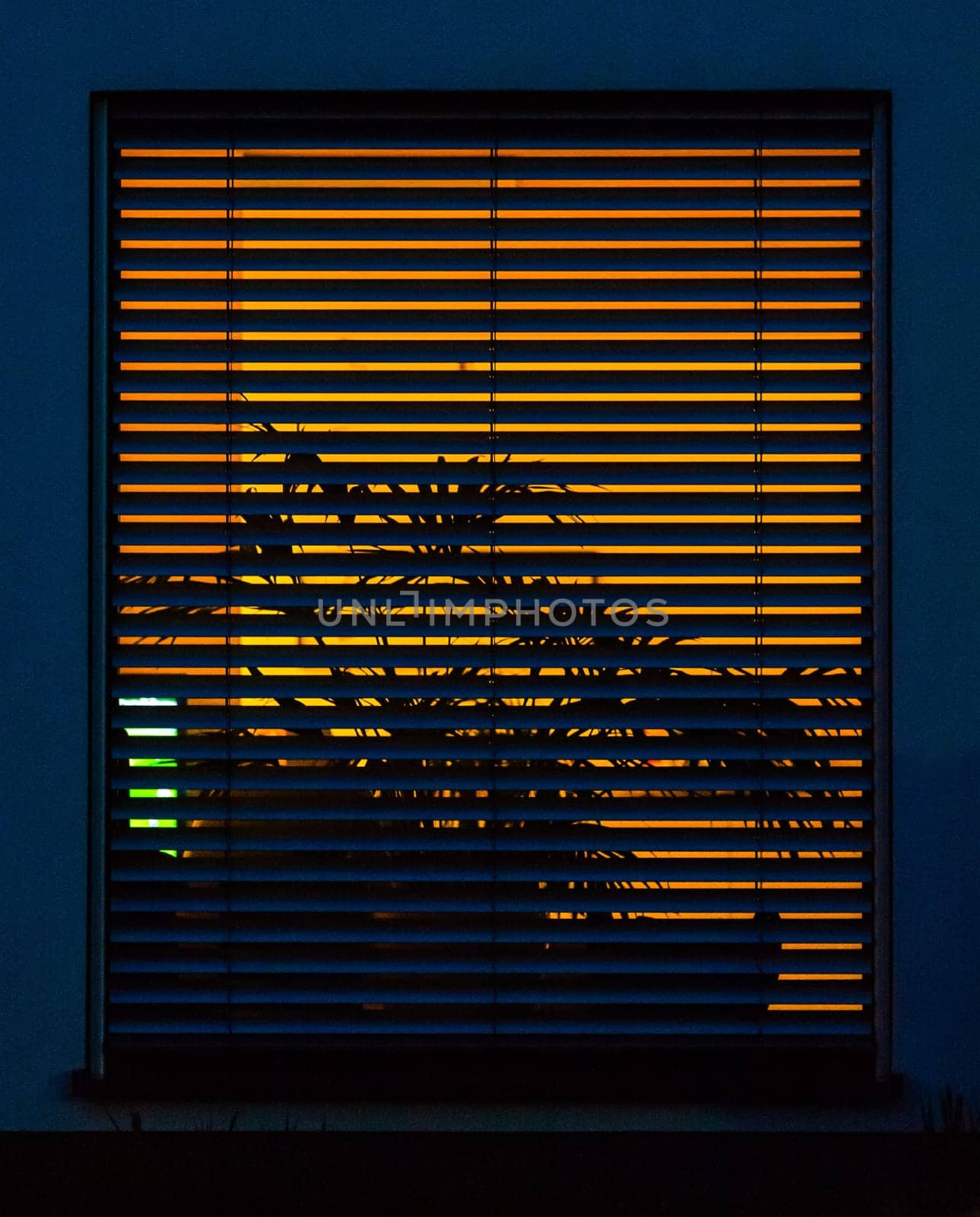 window