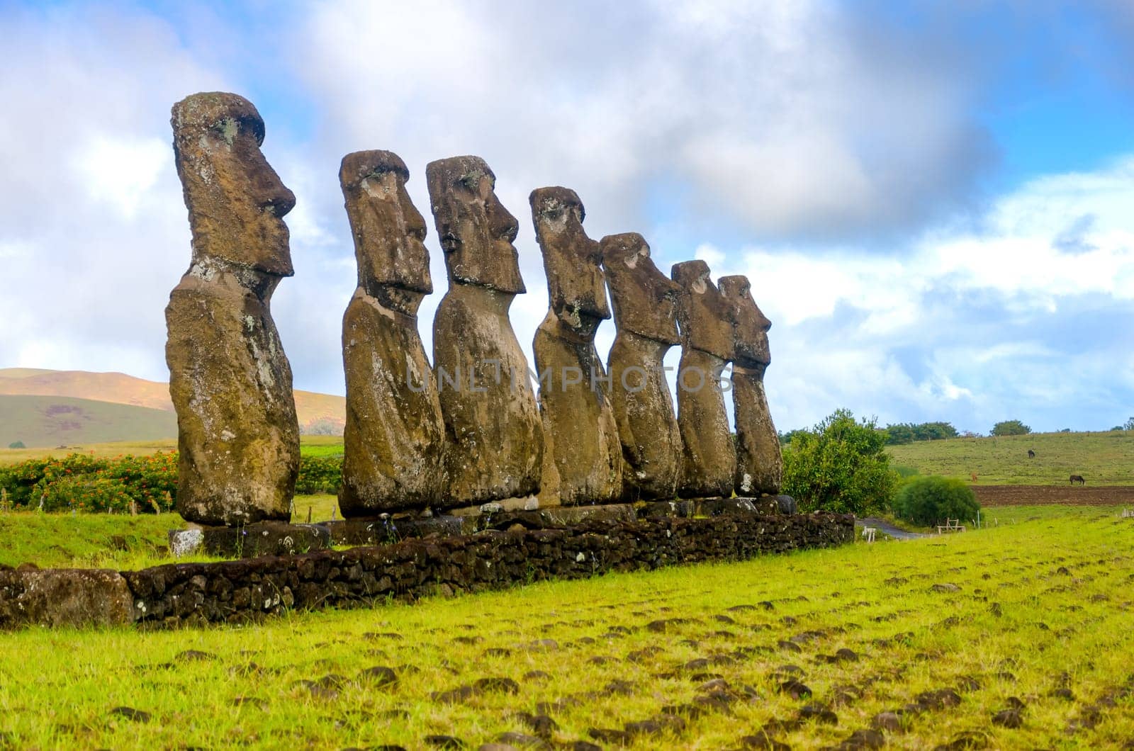 Seven Moai statues watching over Easter Island, Chile