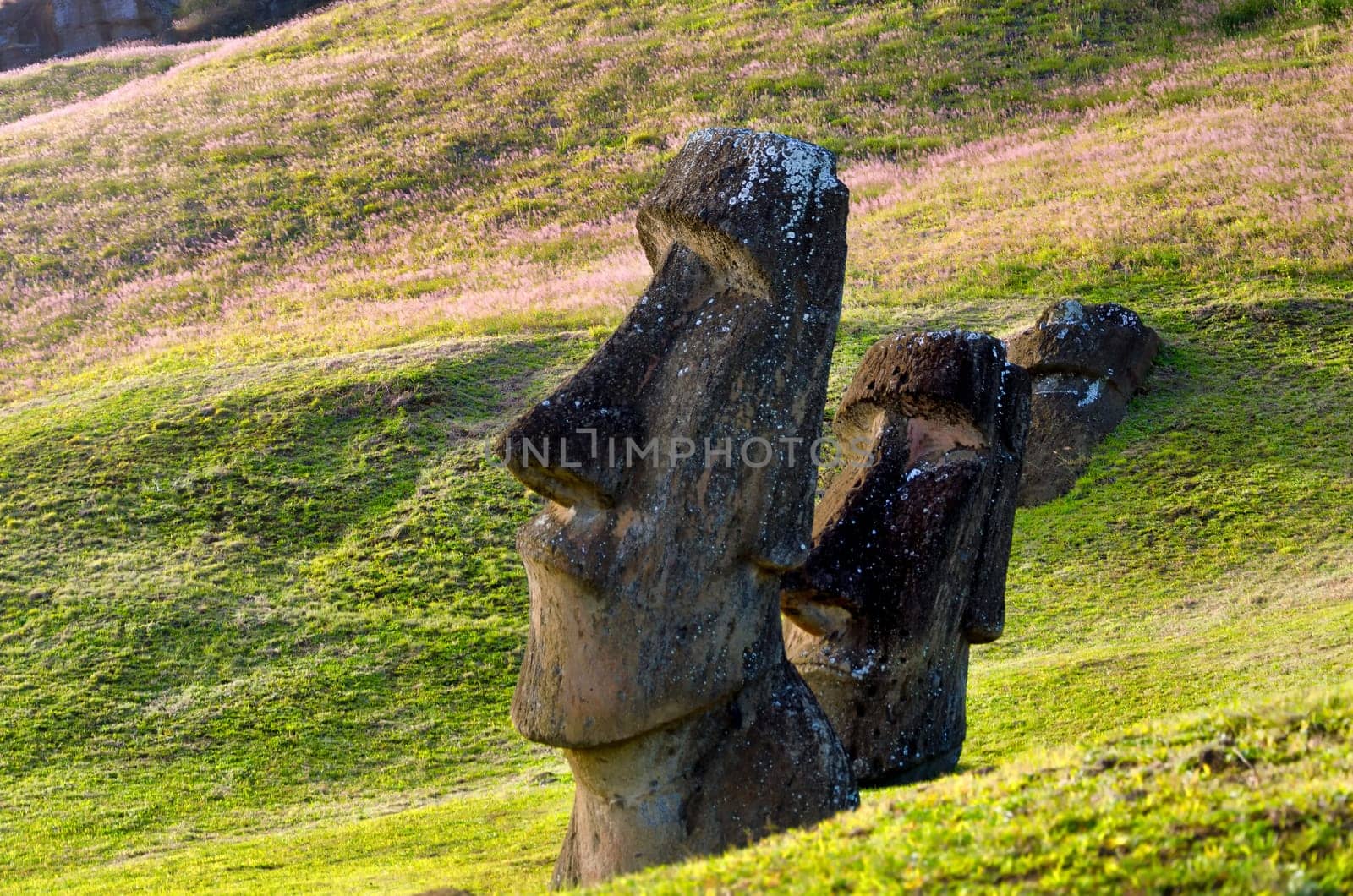 View of Moai at Rano Raraku on Easter Island in Chile