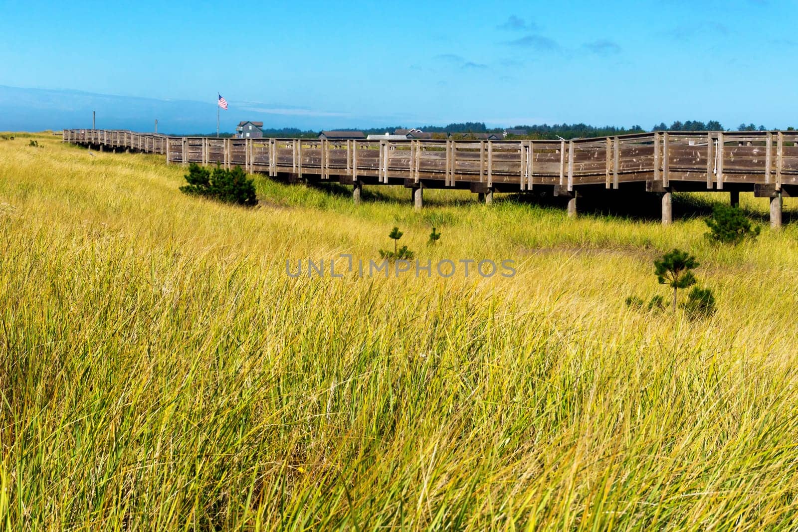 View of the grasslands from the wooden walkway near Long Beach, Washington