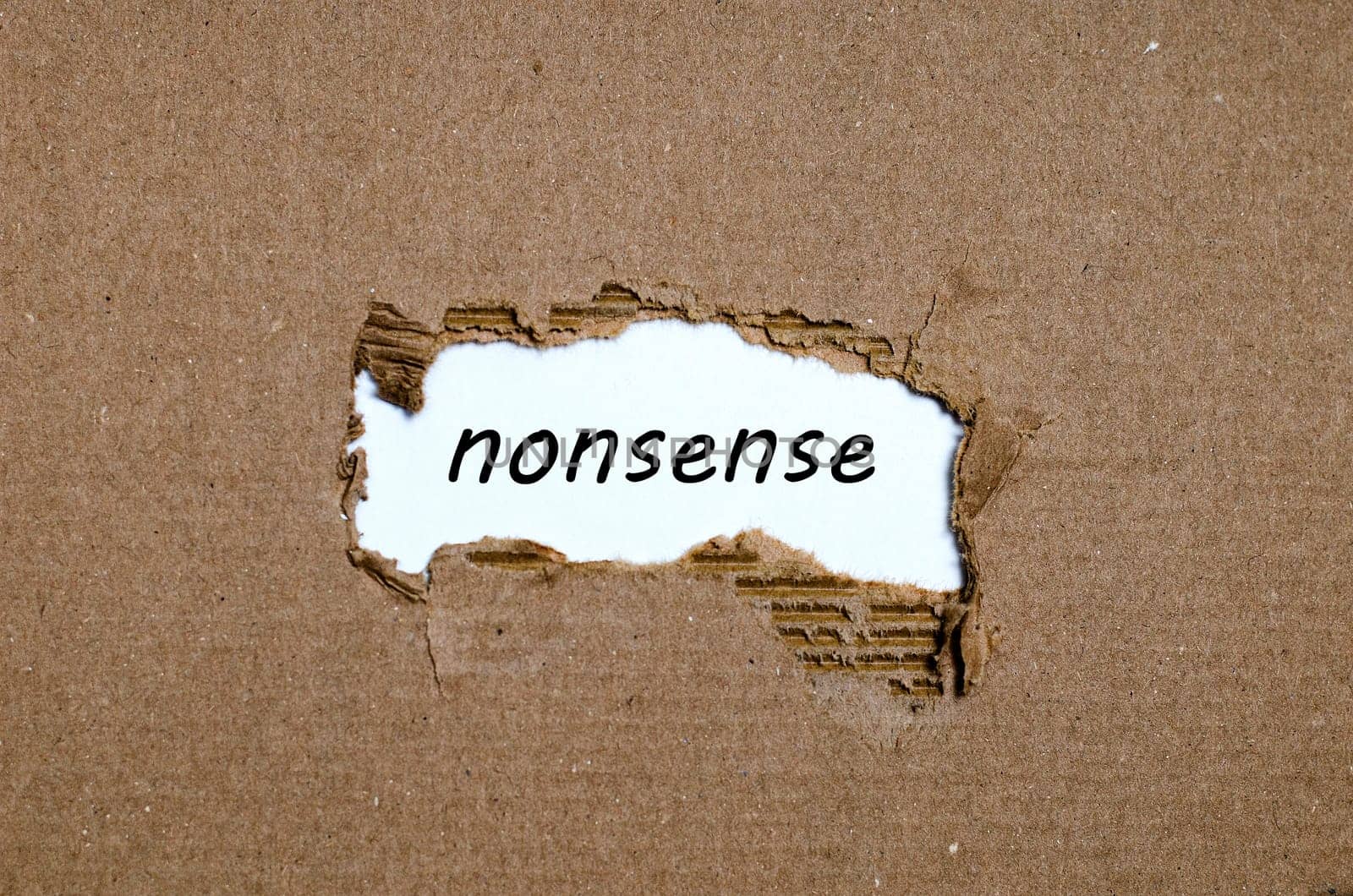 The word nonsense appearing behind torn paper