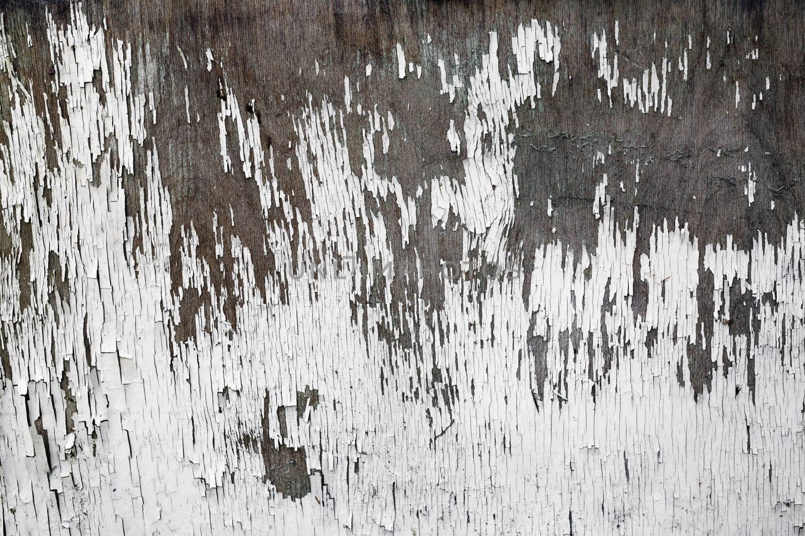 Grunge weathered wooden background with peeling paint. Old wood texture with cracked white paint.