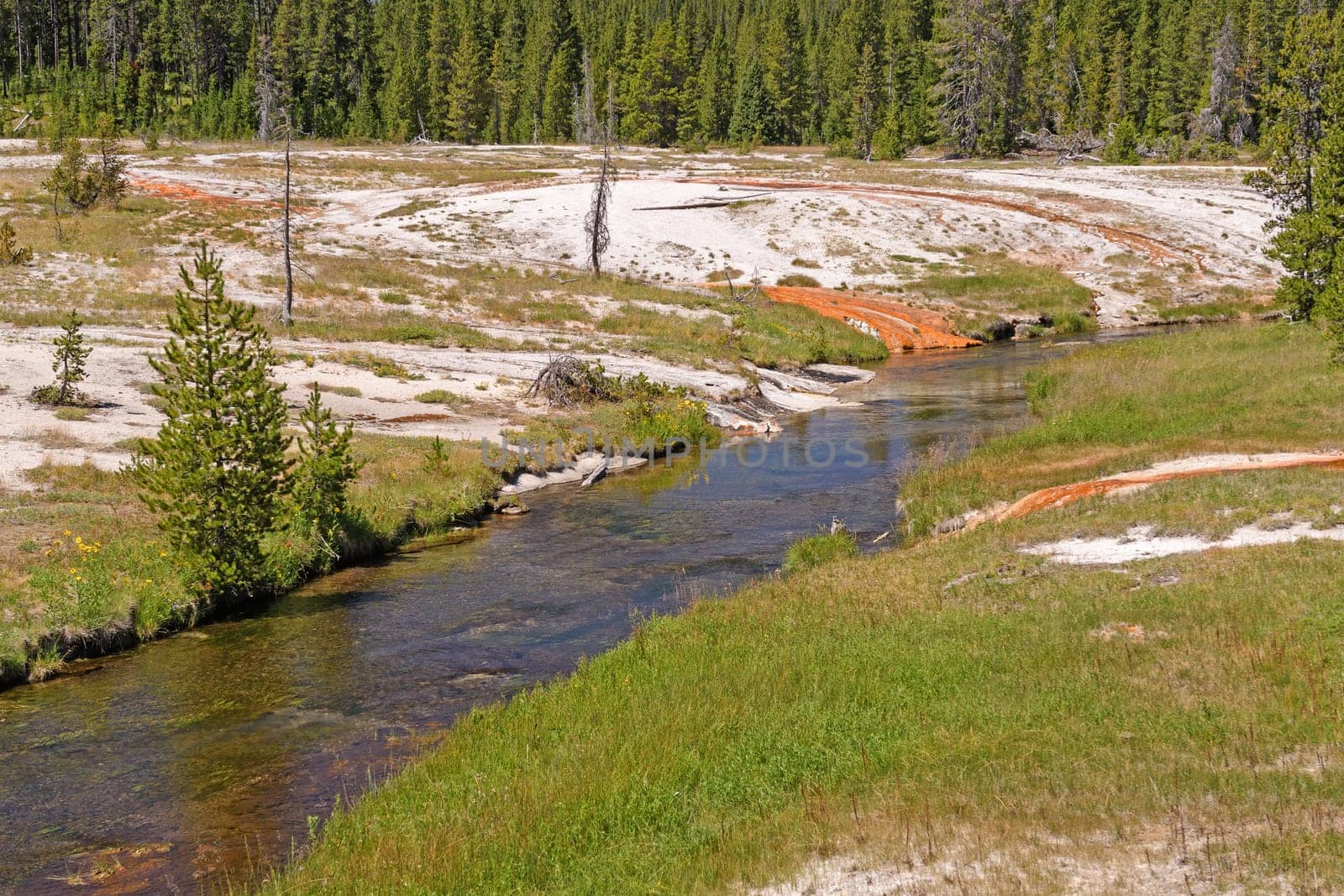 Quiet Stream Through a Thermal Area in the Shoshone Basin in Yellowstone National Park in Wyoming