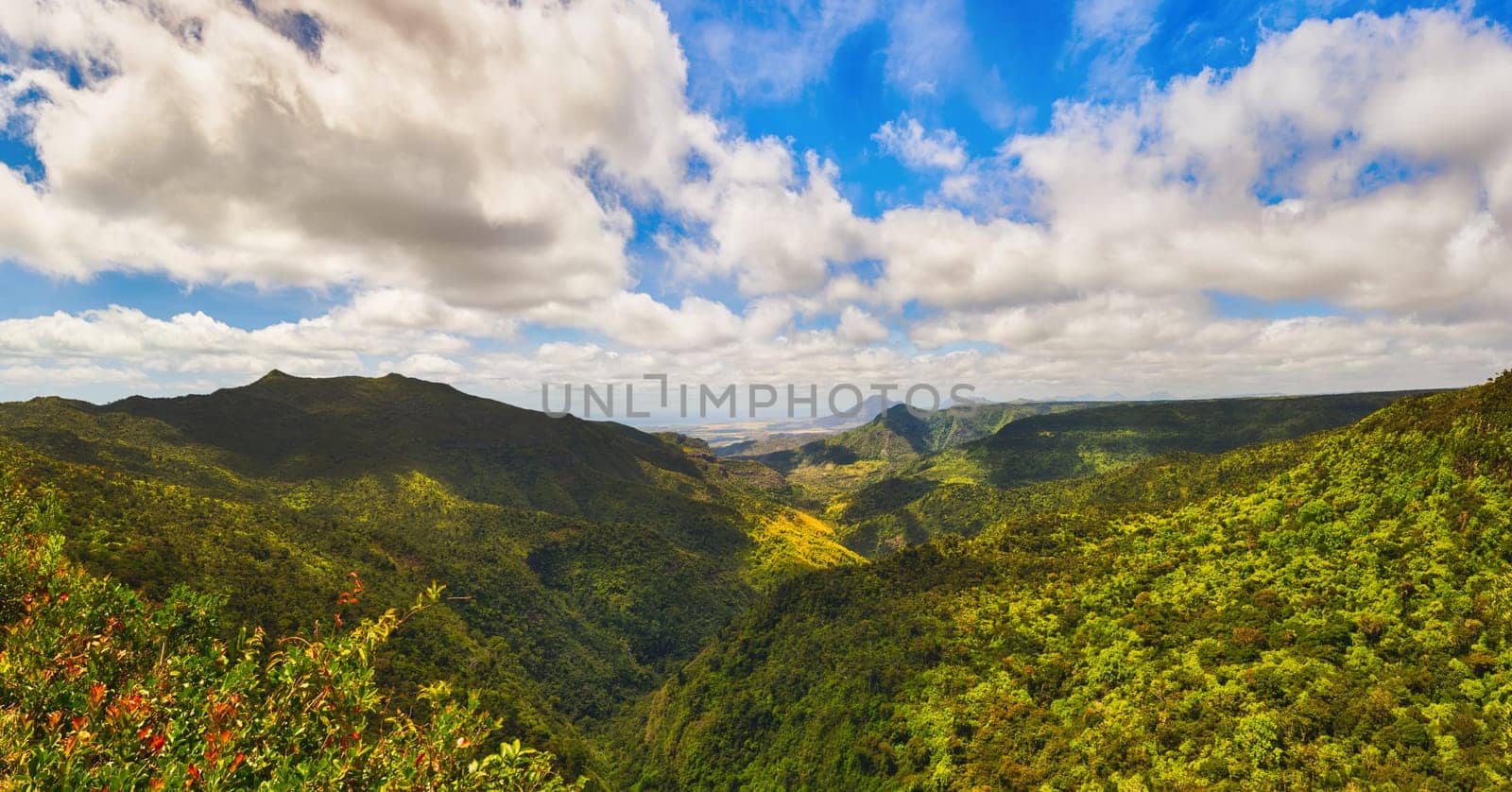View from the Gorges viewpoint. Black River Gorges national park. Mauritius. Panorama
