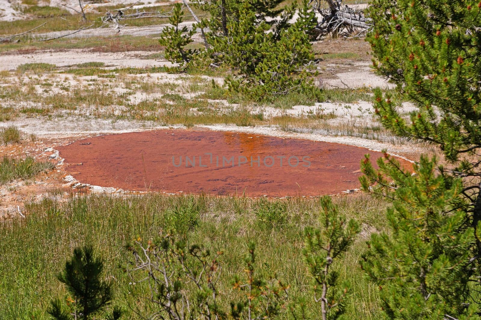 Red Pool in the Wilds of the Shoshone Basin in Yellowstone National Park in Wyoming