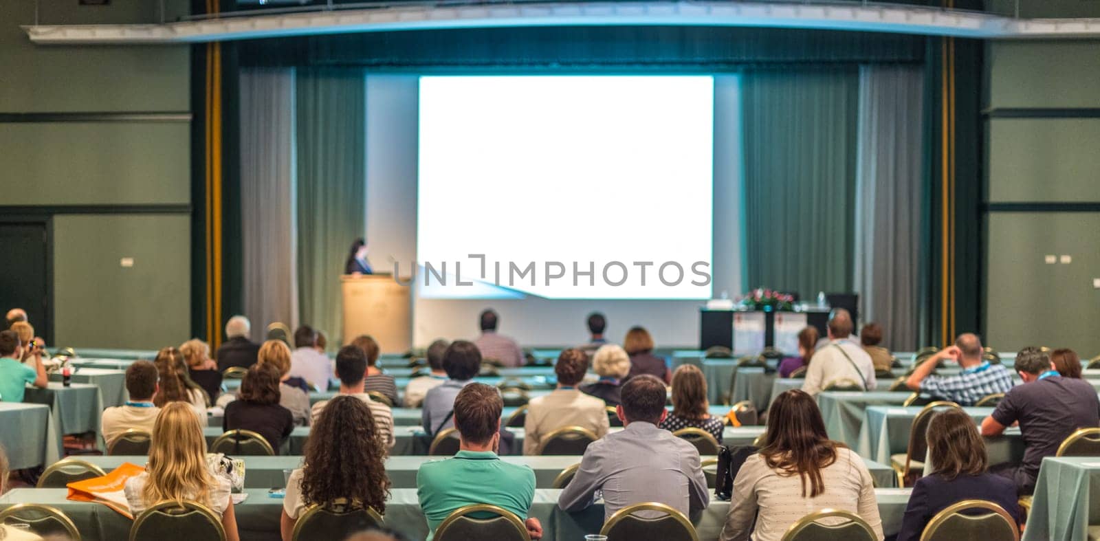 Business and entrepreneurship symposium. Speaker giving a talk at business meeting. Audience in the conference hall. Rear view of unrecognized participant in audience.