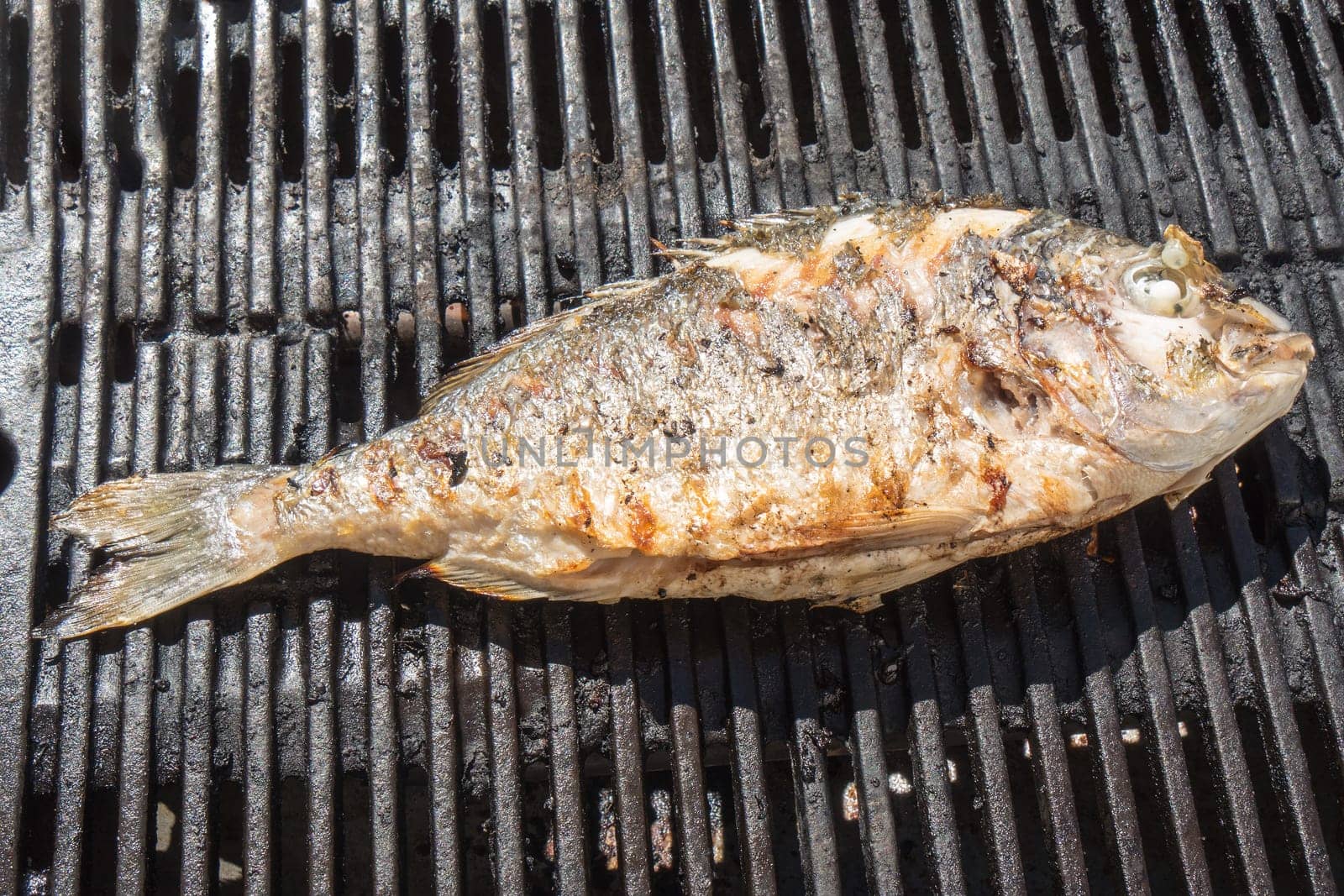 Fish sea bream on the bardecue