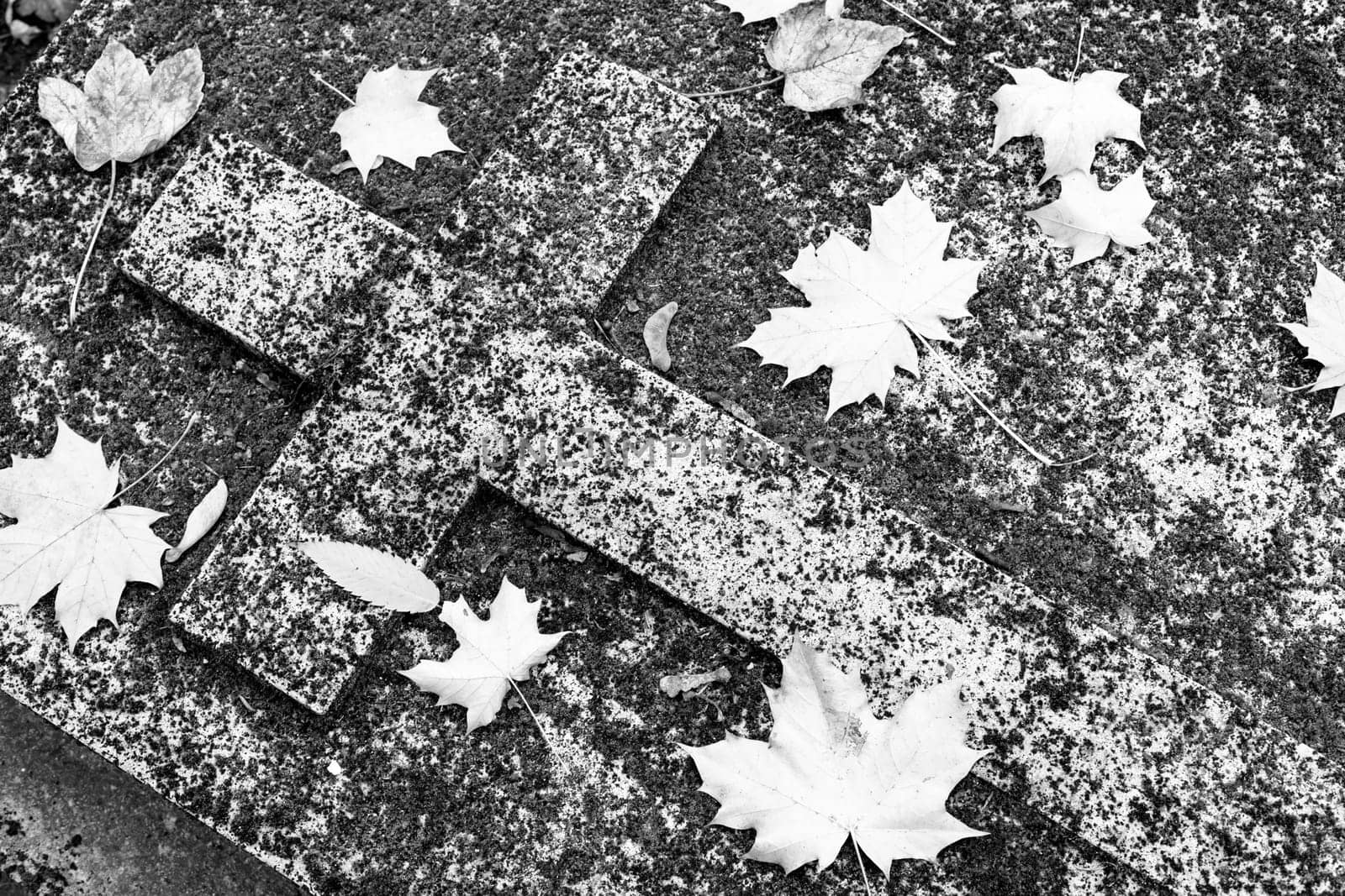 Old forgotten christian grave, stone carved cross covered with moss and autumn leaves. Black and white image.